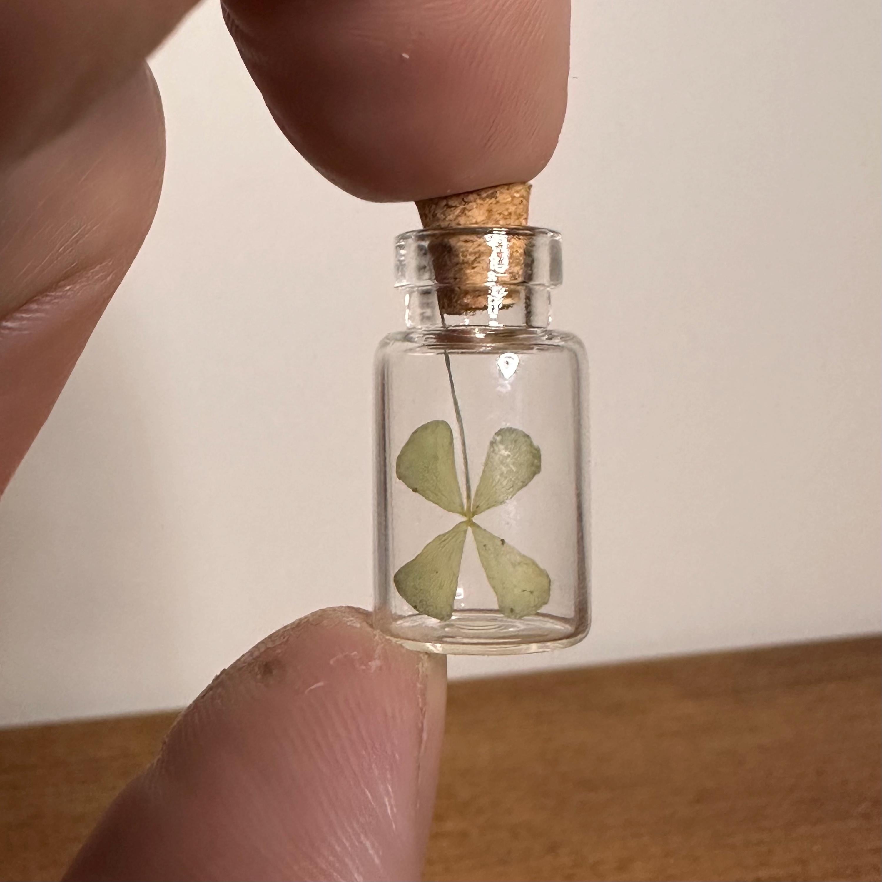 Real Four Leaf Clover Glass Vial, Dried Lucky Charm Keepsake