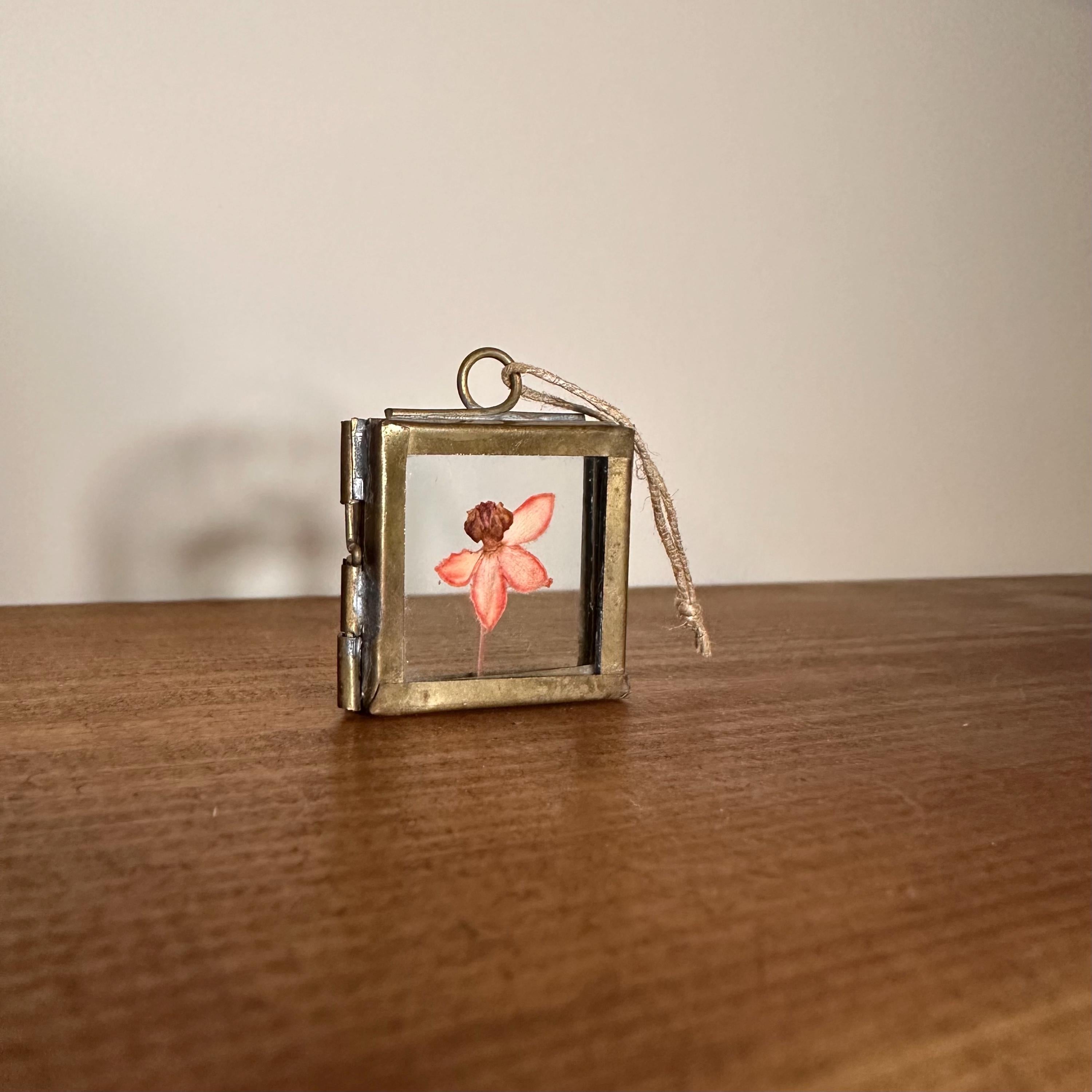 Dried Pink Orchid Mini Frame | Pressed Flower Art 3.5x3.5cm | Real Botanical Decor | Nature Gift