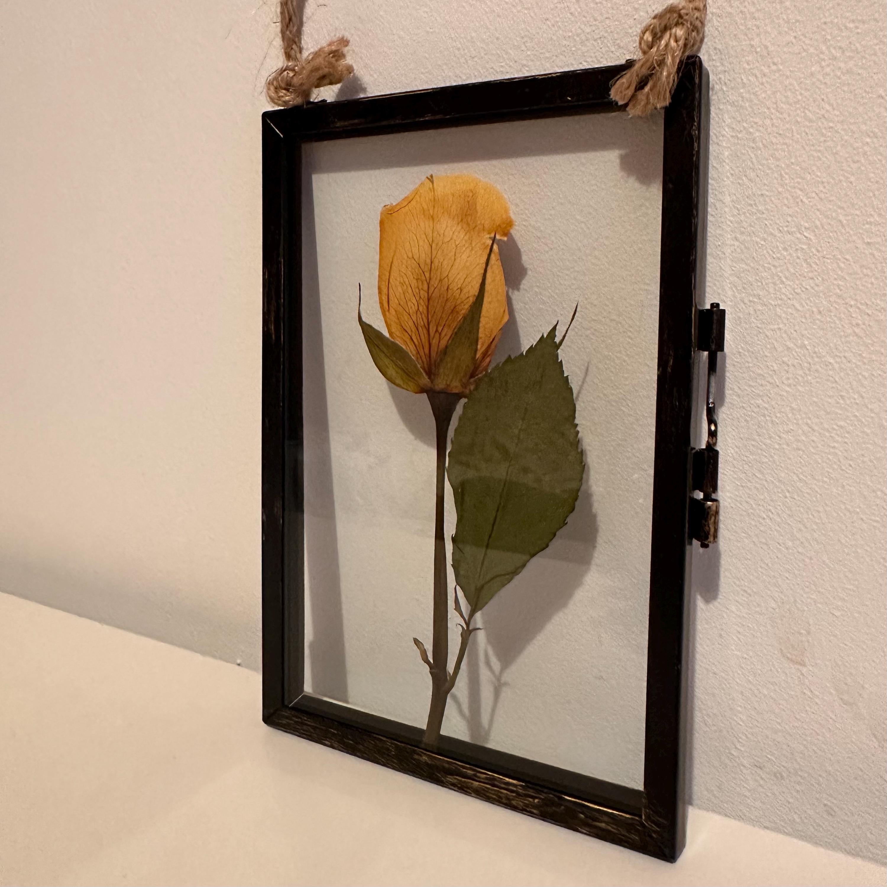 Real Pressed Yellow Rose in Rustic Black Frame | Dried Flower Wall Art | Friendship, Remembrance or Thank You Gift