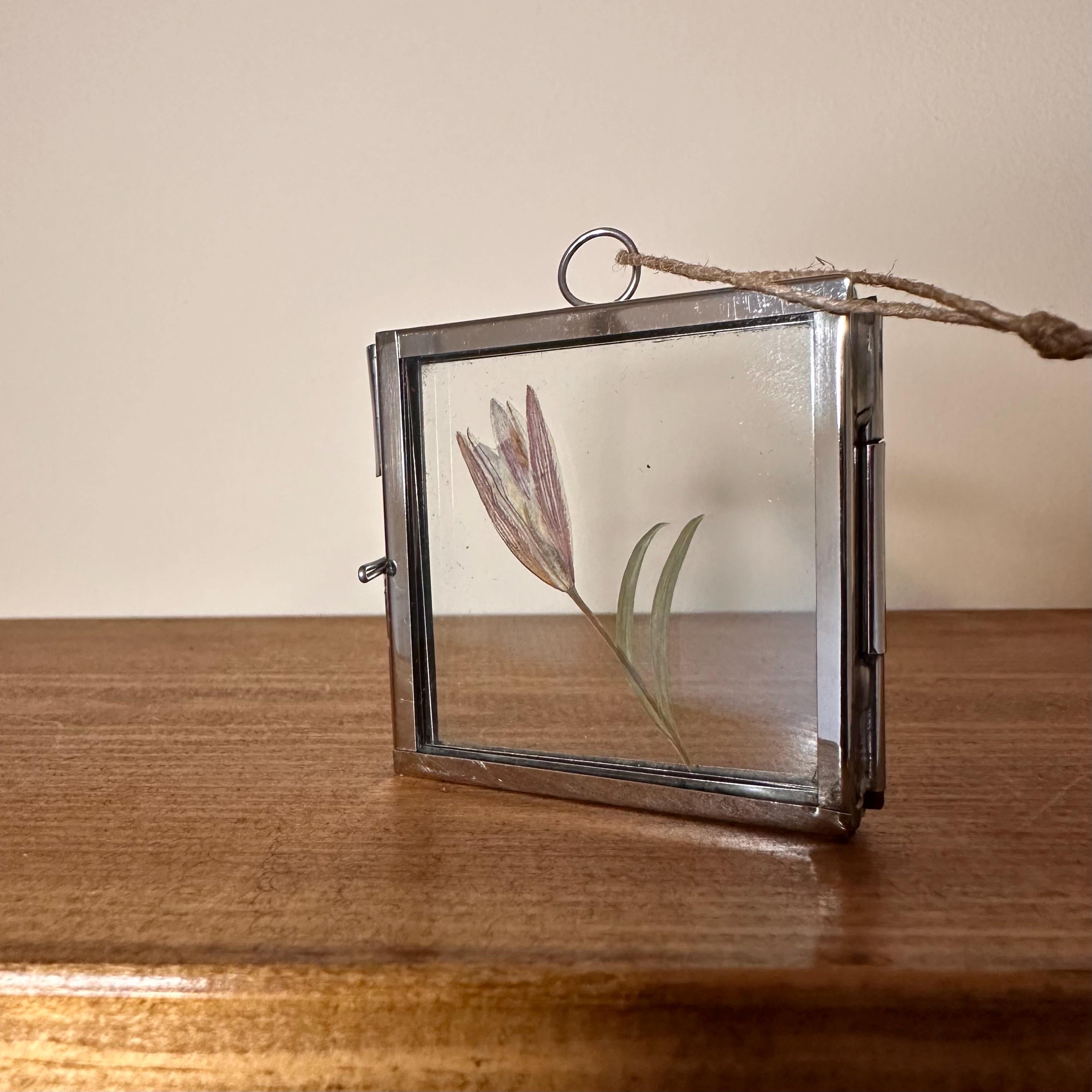 5cm x 5cm Silver Frame with Real Dried Lily | Mini Flower Hanging Display | Botanical Home Decor | Pressed Flower Gift