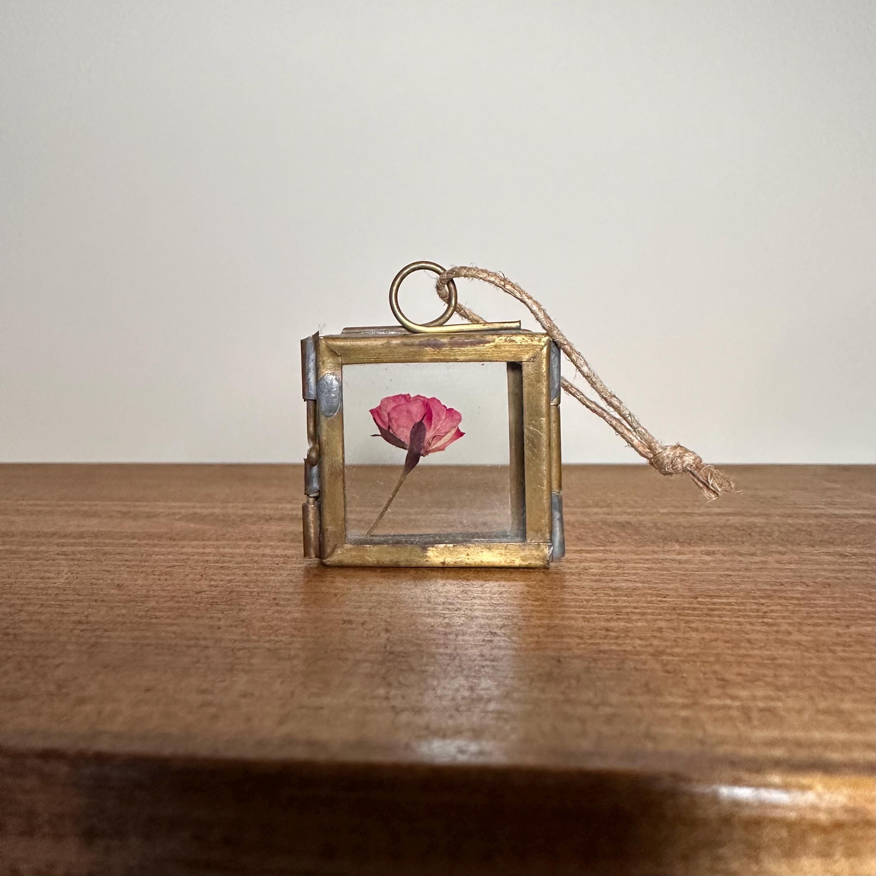 Dried Pink Rose in 3.5cm Brass Frame | Twisted Twine Loop | Pressed Flower Pendant | Miniature Botanical Keepsake