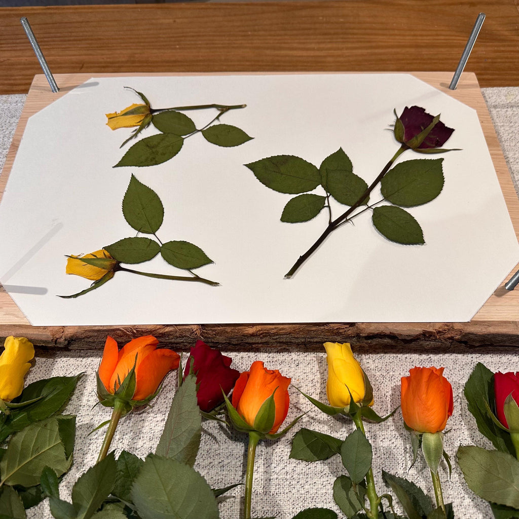 Solid Oak A3 Flower Press – Large Handmade Wooden Botanical Press for Preserving Flowers