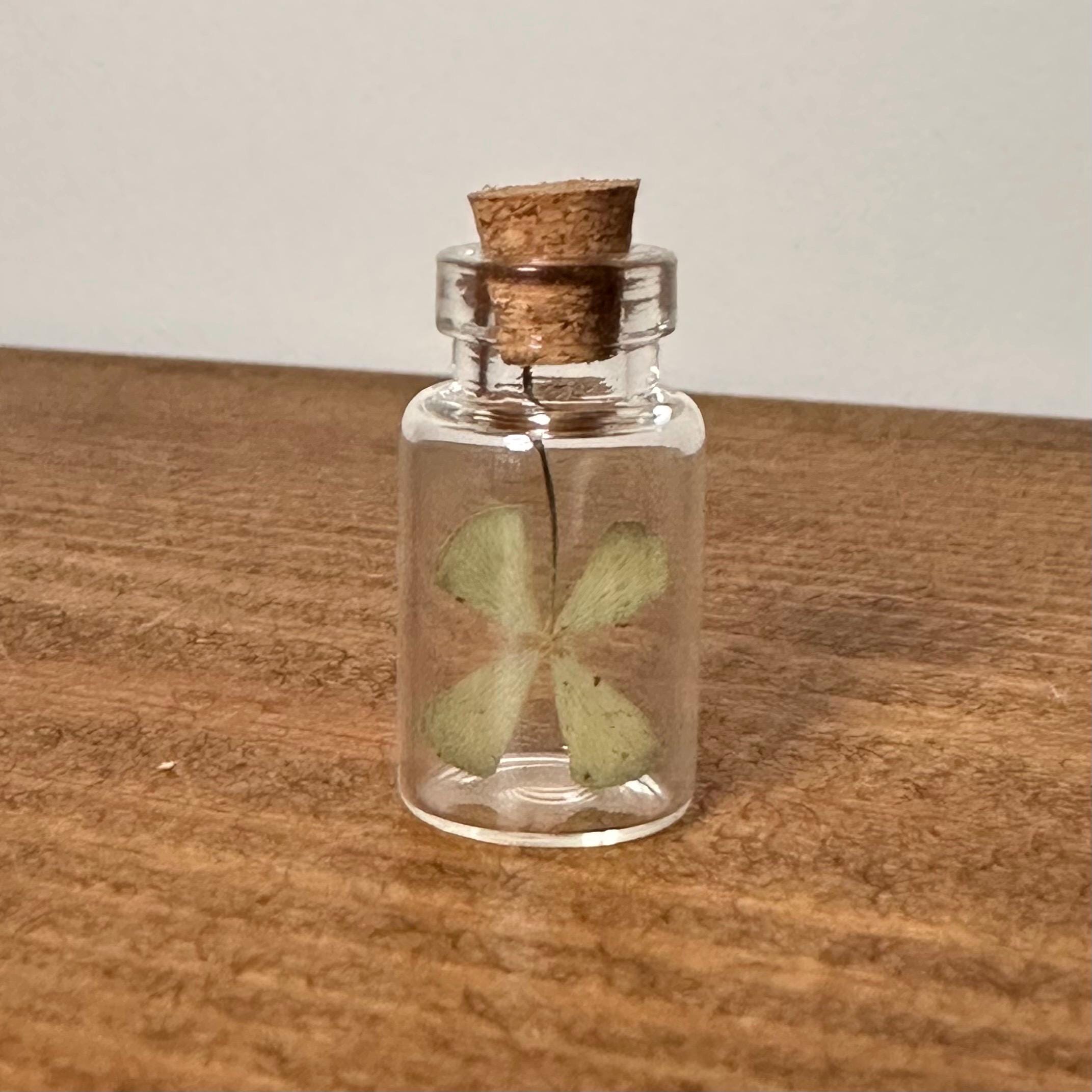 Real Four Leaf Clover Glass Vial, Dried Lucky Charm Keepsake