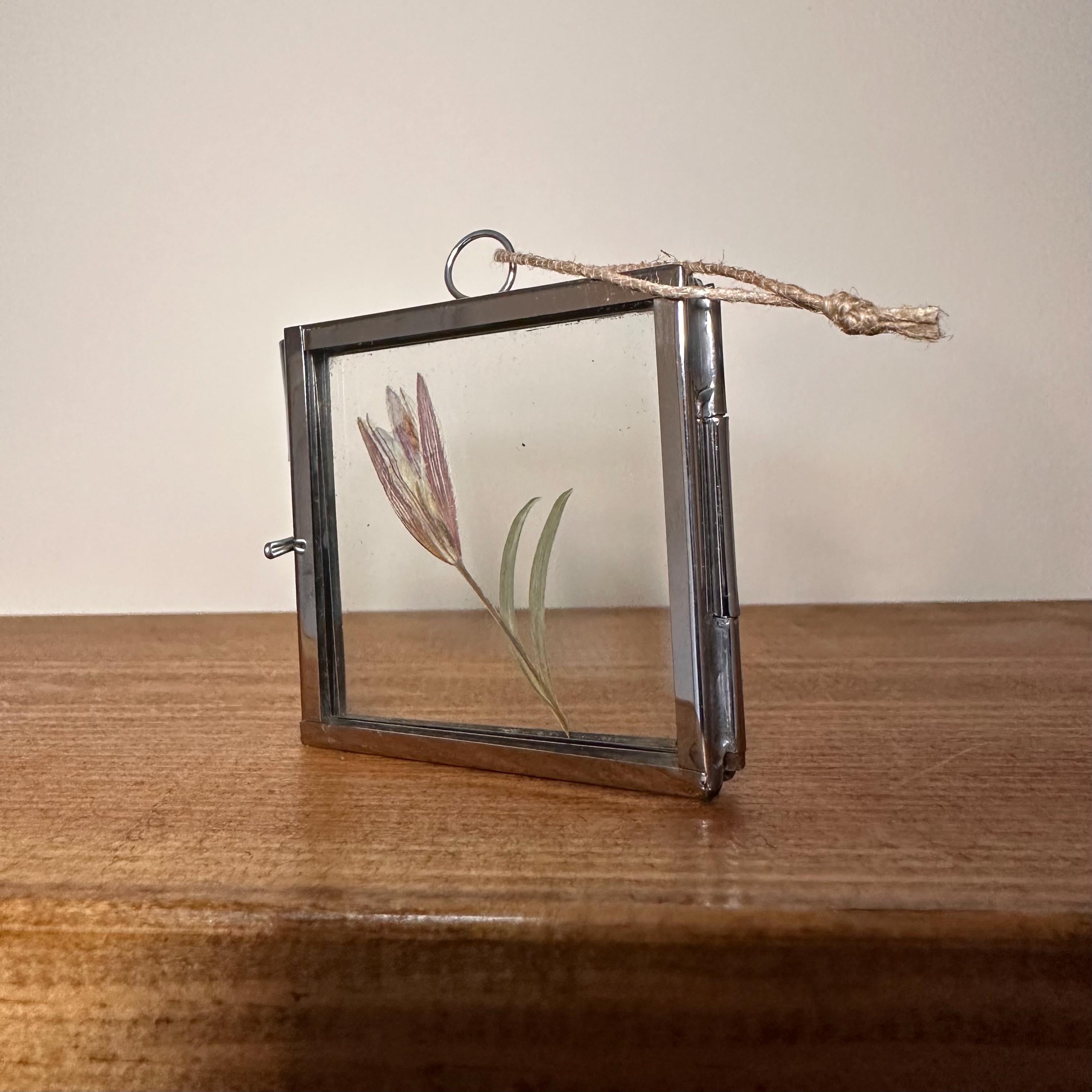 5cm x 5cm Silver Frame with Real Dried Lily | Mini Flower Hanging Display | Botanical Home Decor | Pressed Flower Gift
