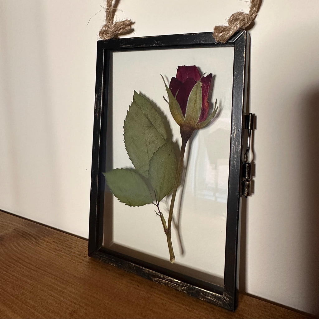 Real Pressed Red Rose in Rustic Black Frame | Dried Flower Wall Art | Romantic Gift, Anniversary, Valentine’s Day Keepsake