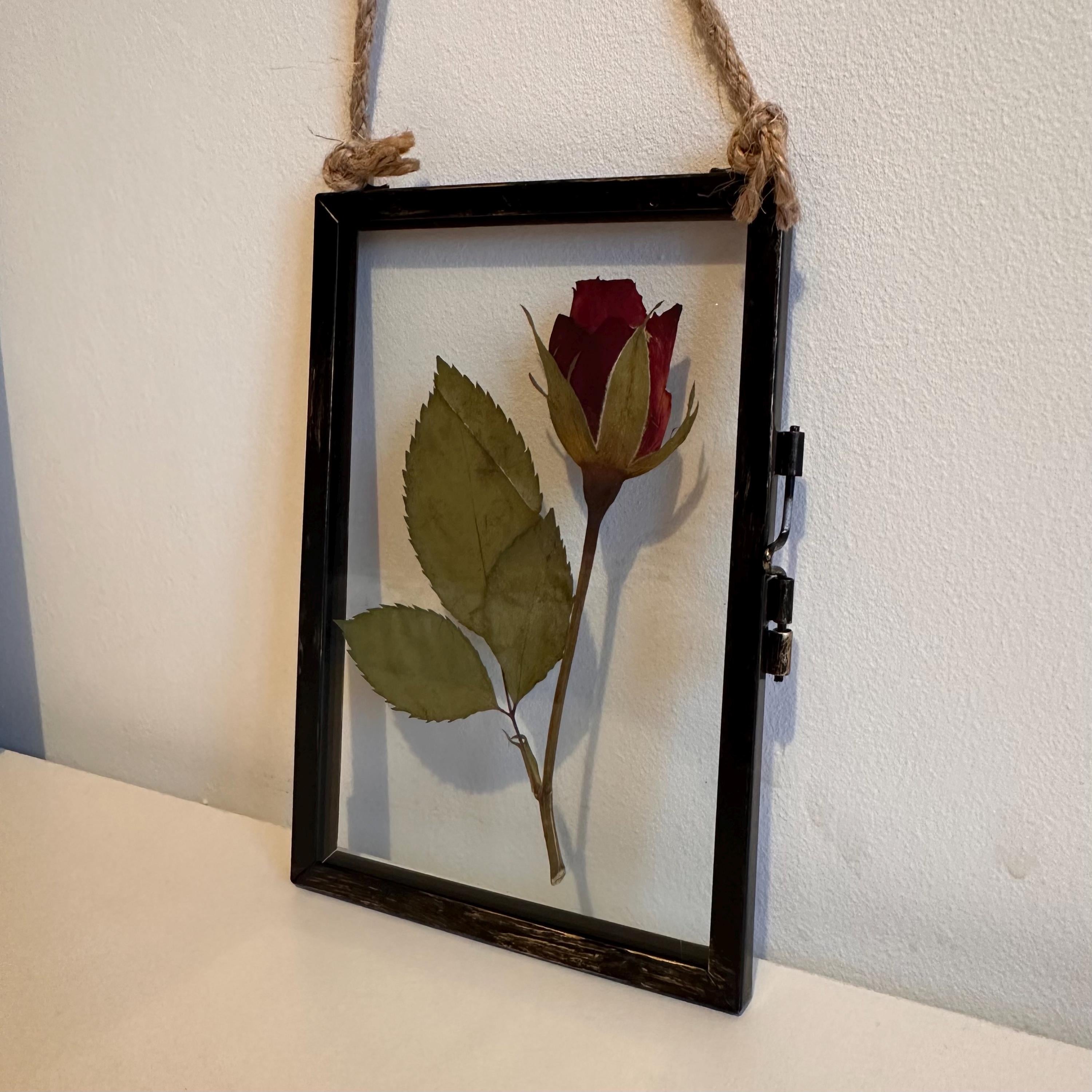 Real Pressed Red Rose in Rustic Black Frame | Dried Flower Wall Art | Romantic Gift, Anniversary, Valentine’s Day Keepsake