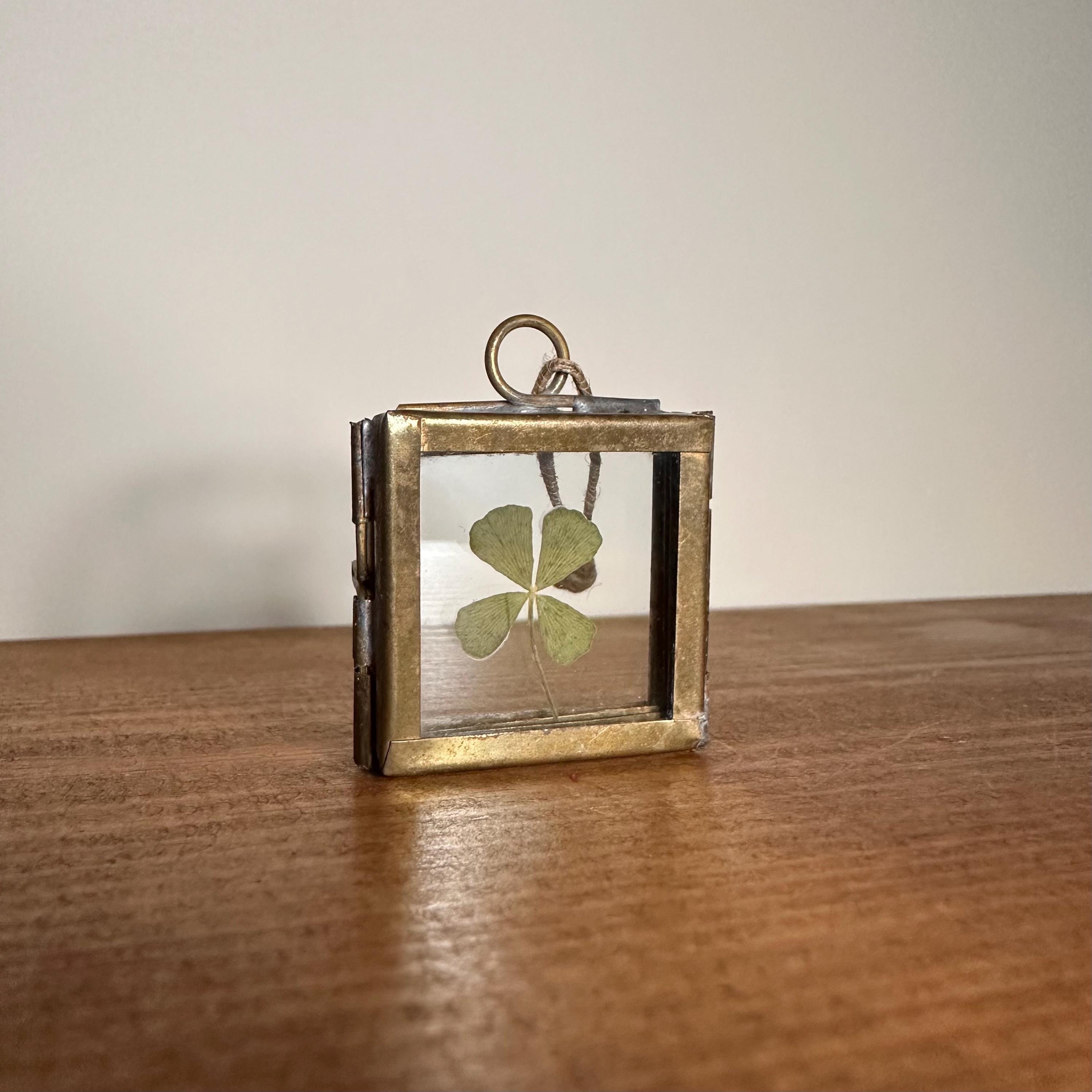 Real 4-Leaf Clover in Brass Frame 3.5cm | Lucky Charm | Dried Plant Keepsake | Pressed Clover Jewelry Display, Botanical Gift