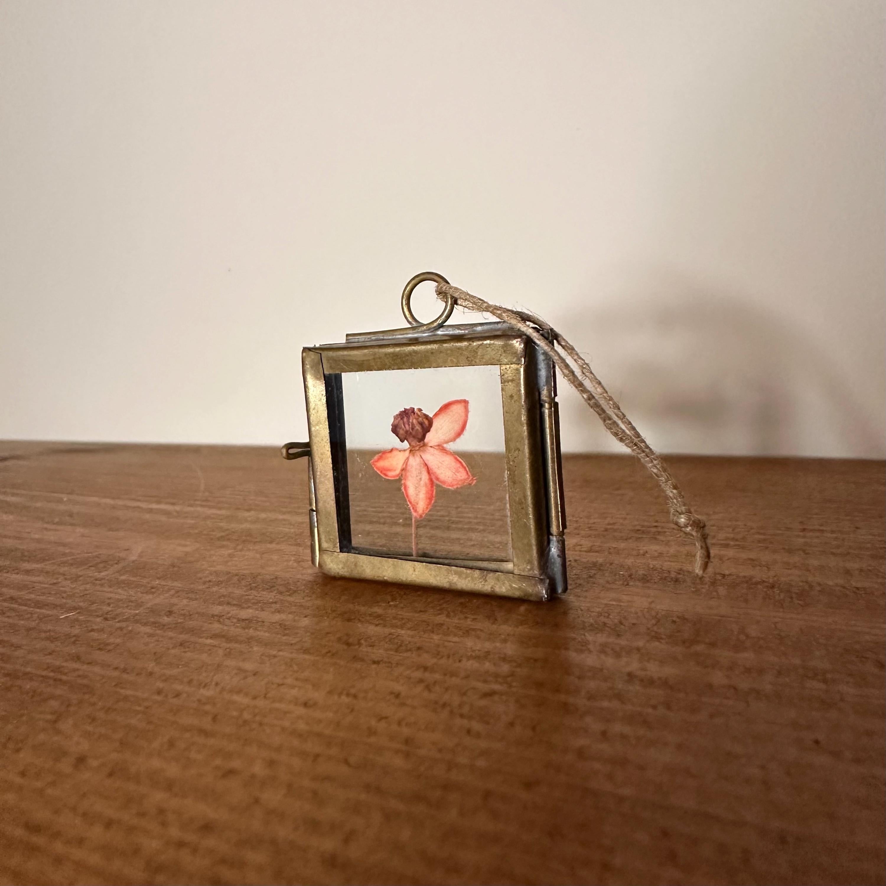 Dried Pink Orchid Mini Frame | Pressed Flower Art 3.5x3.5cm | Real Botanical Decor | Nature Gift