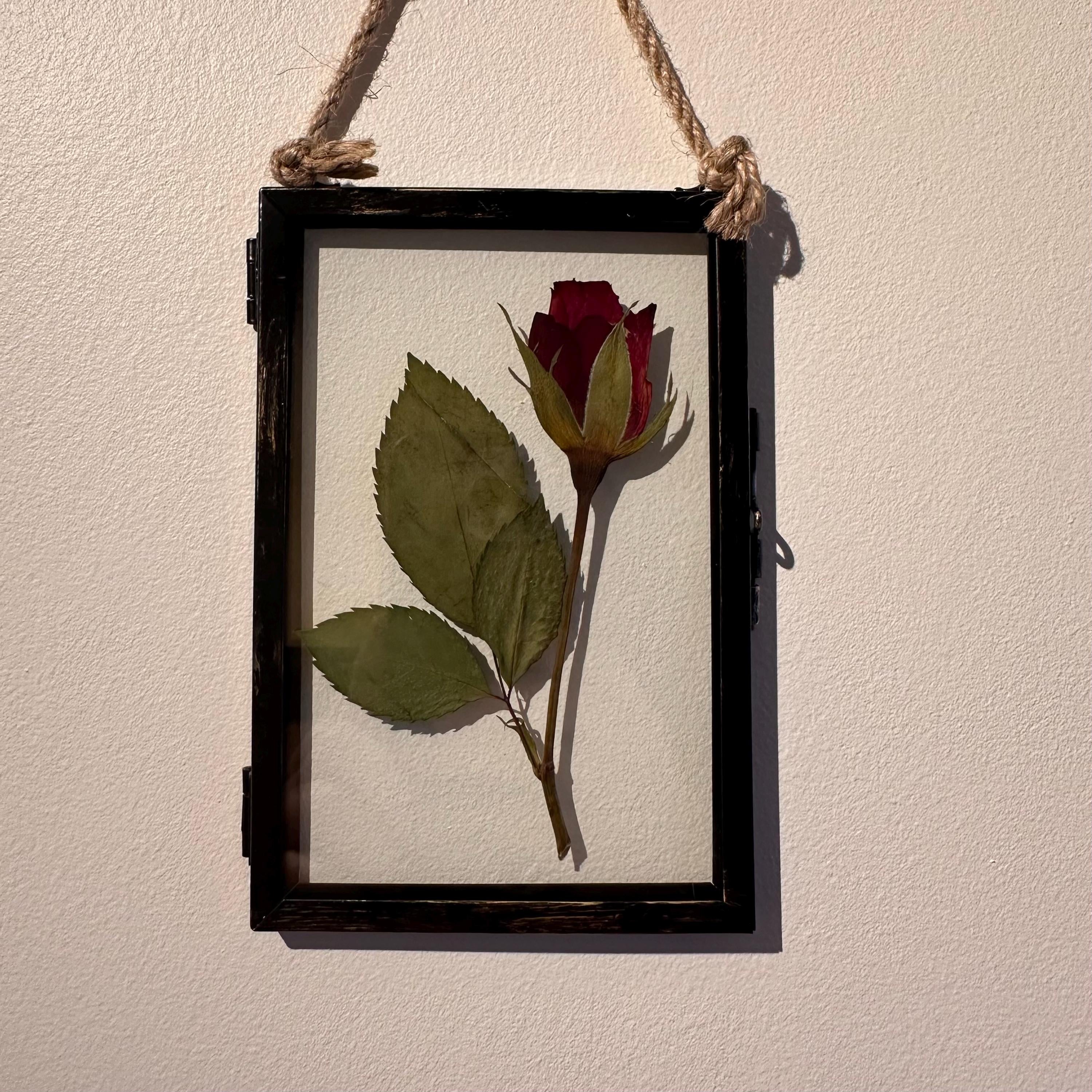 Real Pressed Red Rose in Rustic Black Frame | Dried Flower Wall Art | Romantic Gift, Anniversary, Valentine’s Day Keepsake
