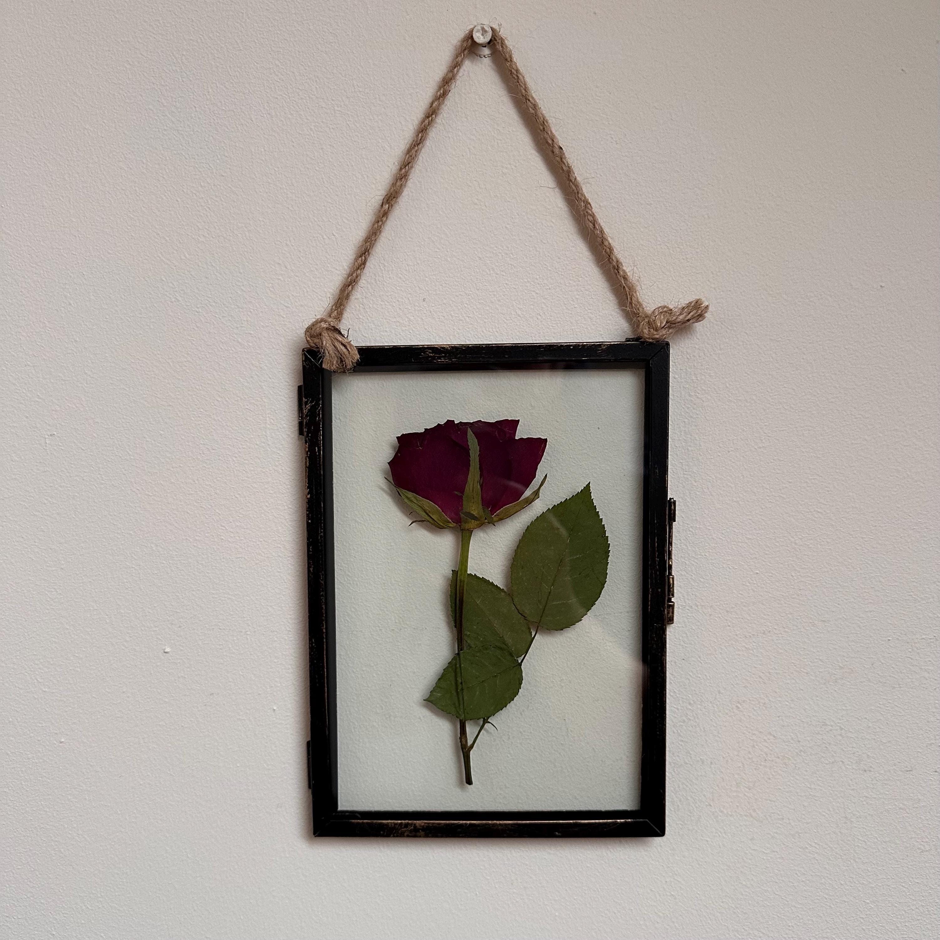 Pressed Red Rose Frame | Rustic Black, Dried Flower Wall Art