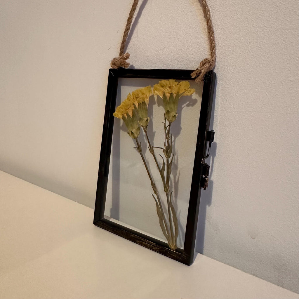 Real Pressed Yellow Carnations in Rustic Black Frame | Dried Flower Wall Art | Friendship, Remembrance or Thank You Gift