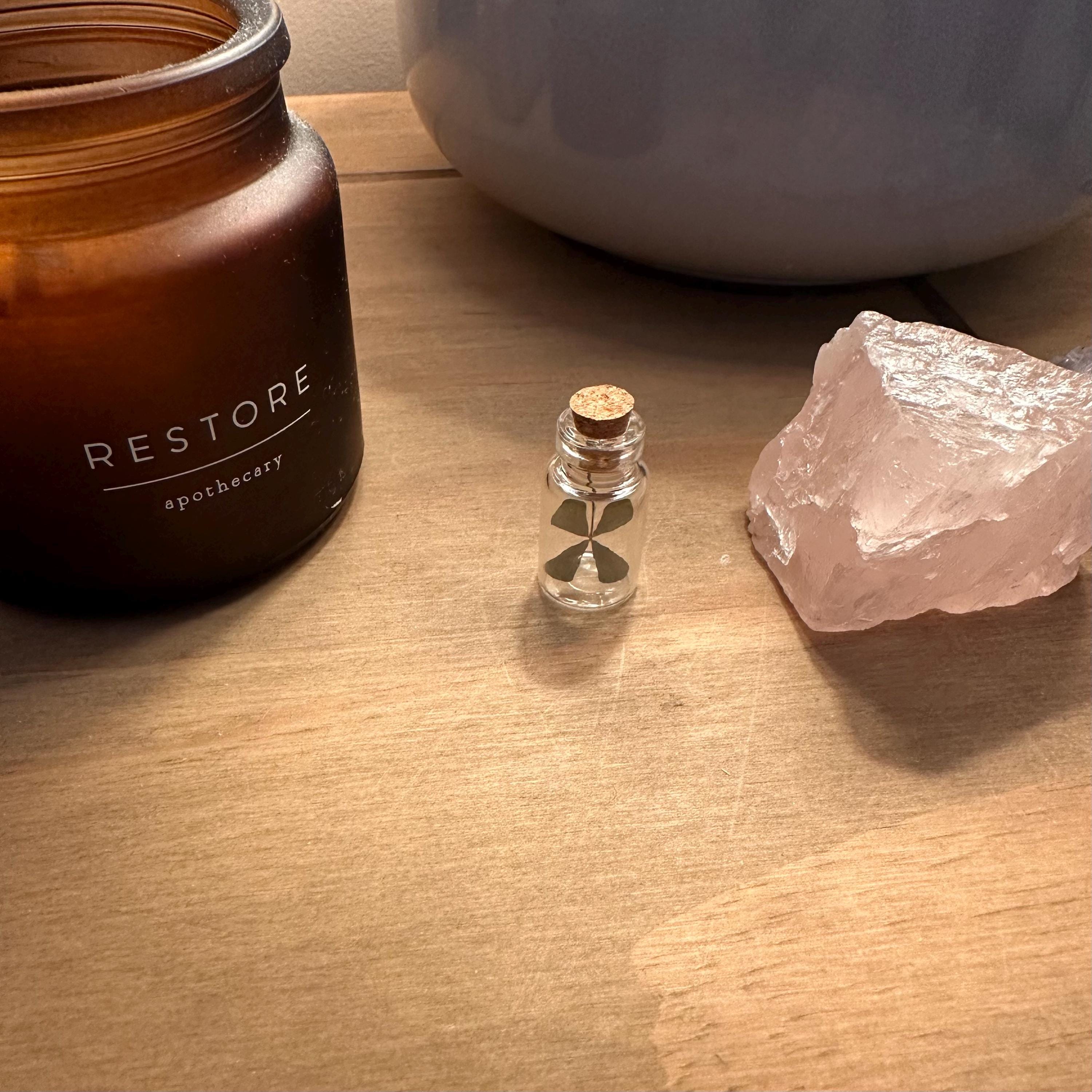 Real Four Leaf Clover Glass Vial, Dried Lucky Charm Keepsake