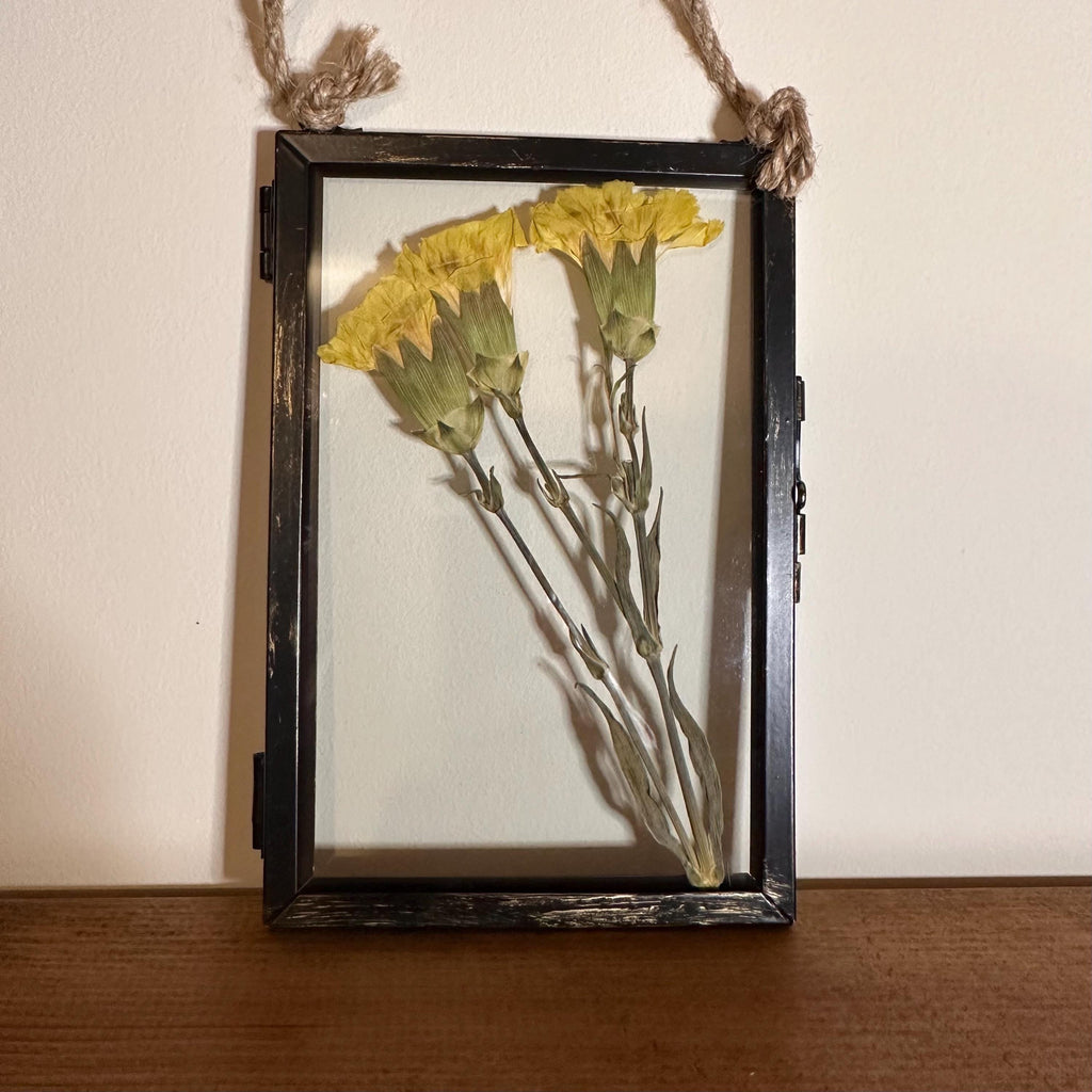 Real Pressed Yellow Carnations in Rustic Black Frame | Dried Flower Wall Art | Friendship, Remembrance or Thank You Gift