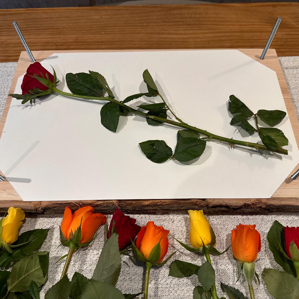 Solid Oak A3 Flower Press – Large Handmade Wooden Botanical Press for Preserving Flowers