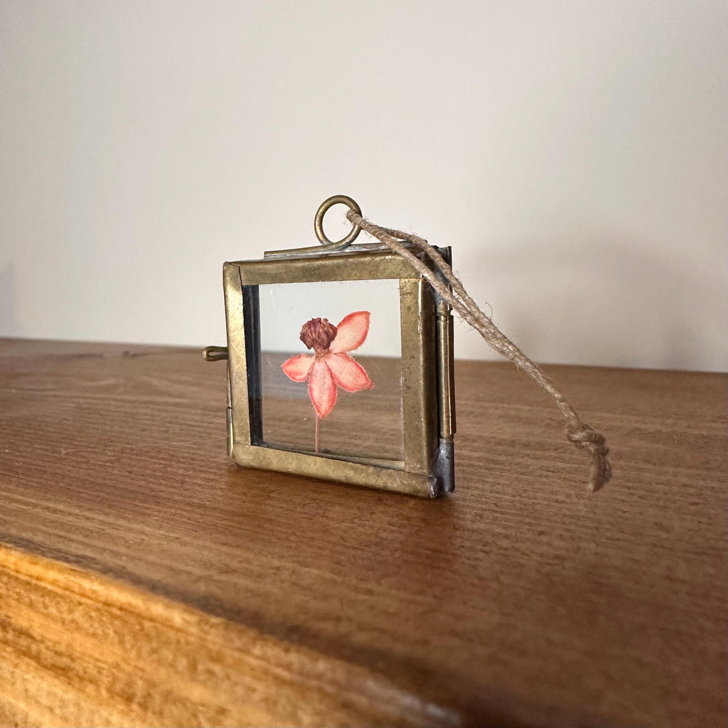 Dried Pink Orchid Mini Frame | Pressed Flower Art 3.5x3.5cm | Real Botanical Decor | Nature Gift