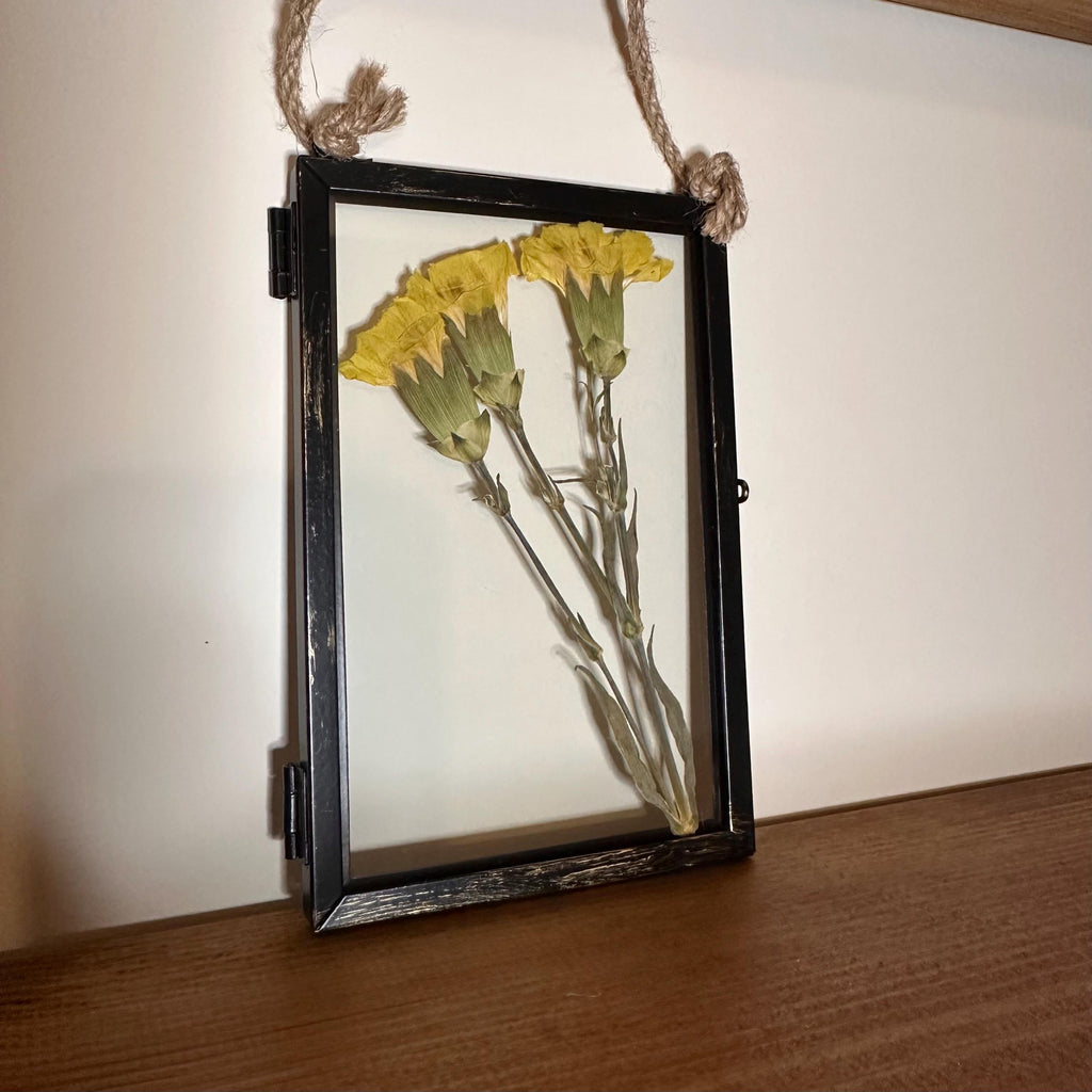 Real Pressed Yellow Carnations in Rustic Black Frame | Dried Flower Wall Art | Friendship, Remembrance or Thank You Gift
