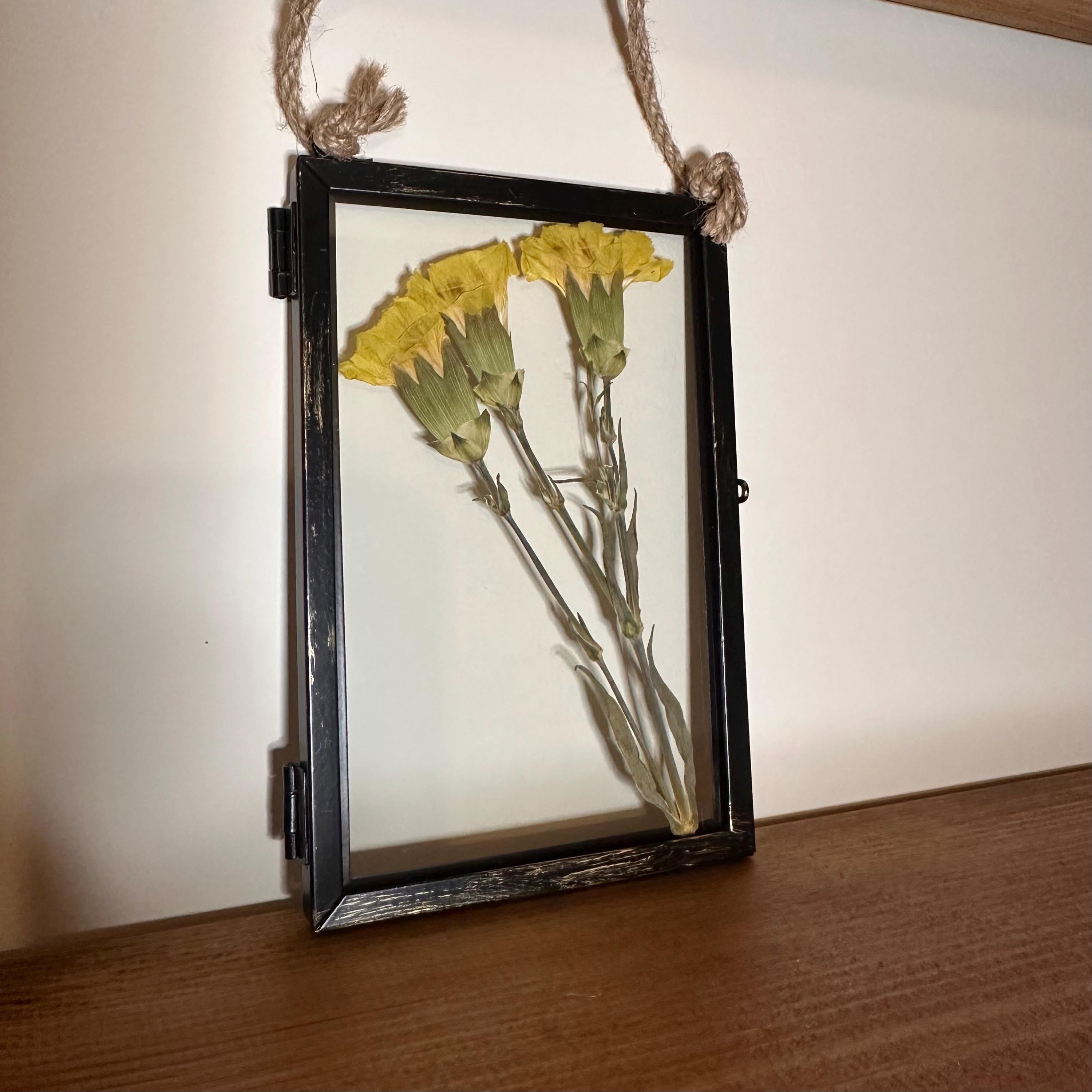Real Pressed Yellow Carnations in Rustic Black Frame | Dried Flower Wall Art | Friendship, Remembrance or Thank You Gift