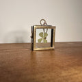 Real 4-Leaf Clover in Brass Frame 3.5cm | Lucky Charm | Dried Plant Keepsake | Pressed Clover Jewelry Display, Botanical Gift