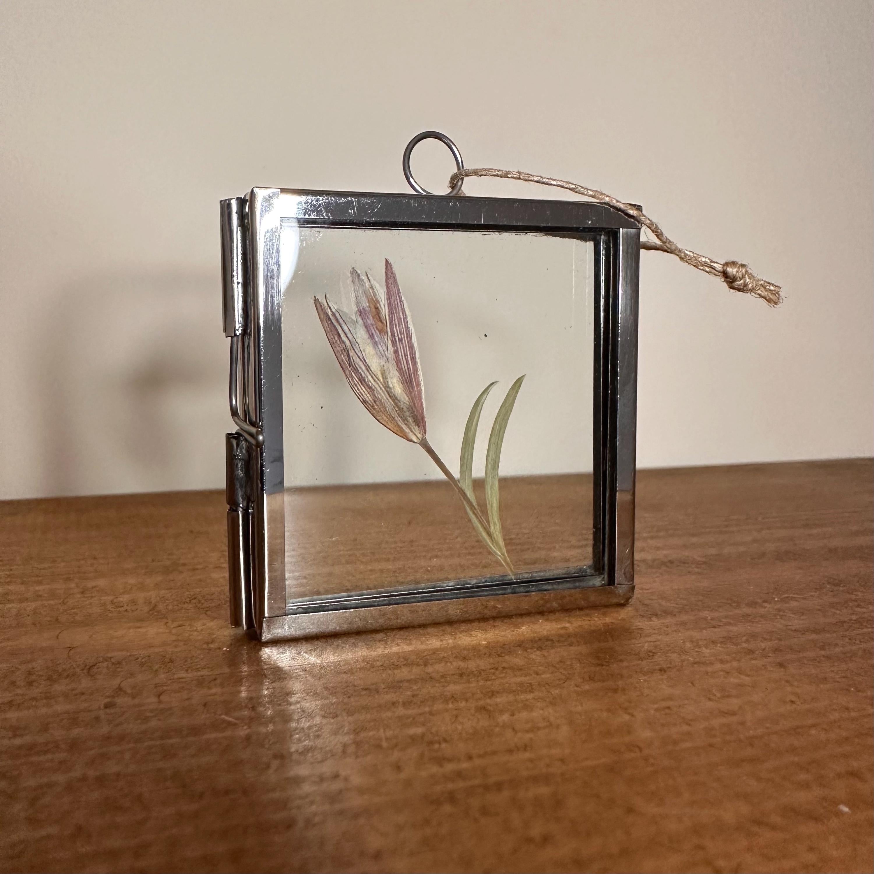 5cm x 5cm Silver Frame with Real Dried Lily | Mini Flower Hanging Display | Botanical Home Decor | Pressed Flower Gift