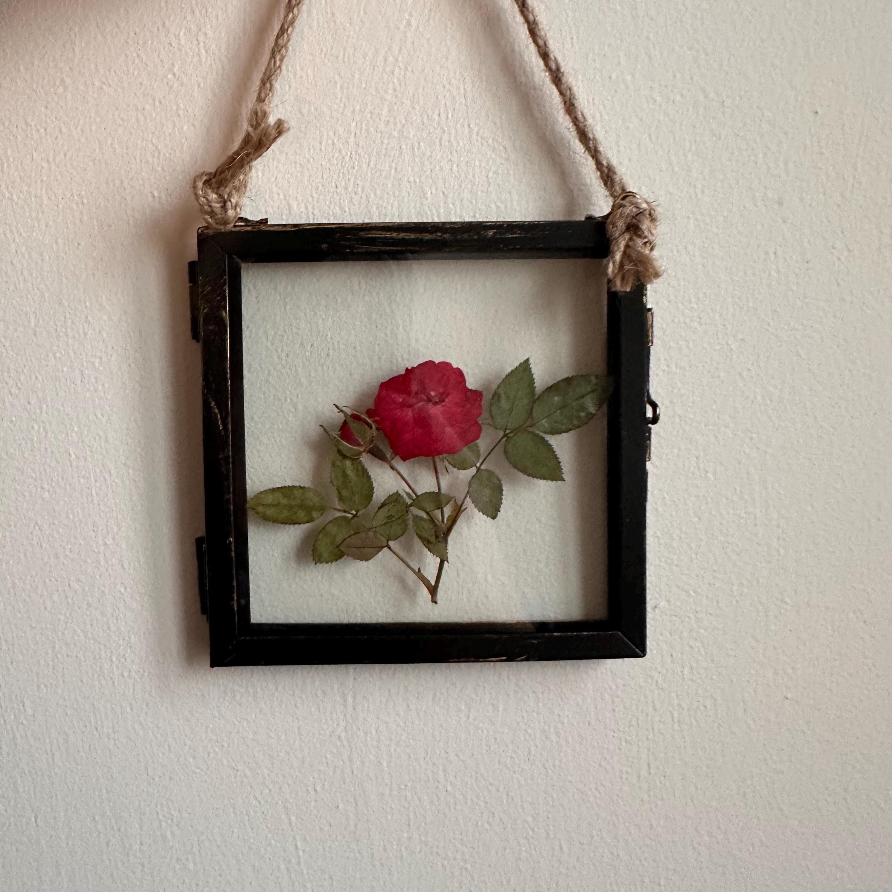 Real Pressed Red Rose with Leaves – Dried Botanical Art in Rustic Black Frame (4” x 4”)