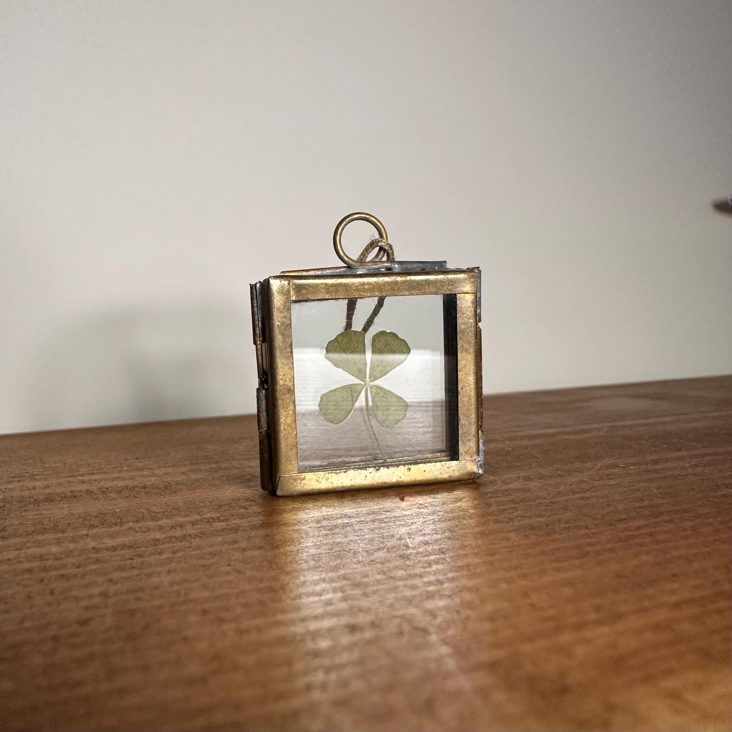 Real 4-Leaf Clover in Brass Frame 3.5cm | Lucky Charm | Dried Plant Keepsake | Pressed Clover Jewelry Display, Botanical Gift