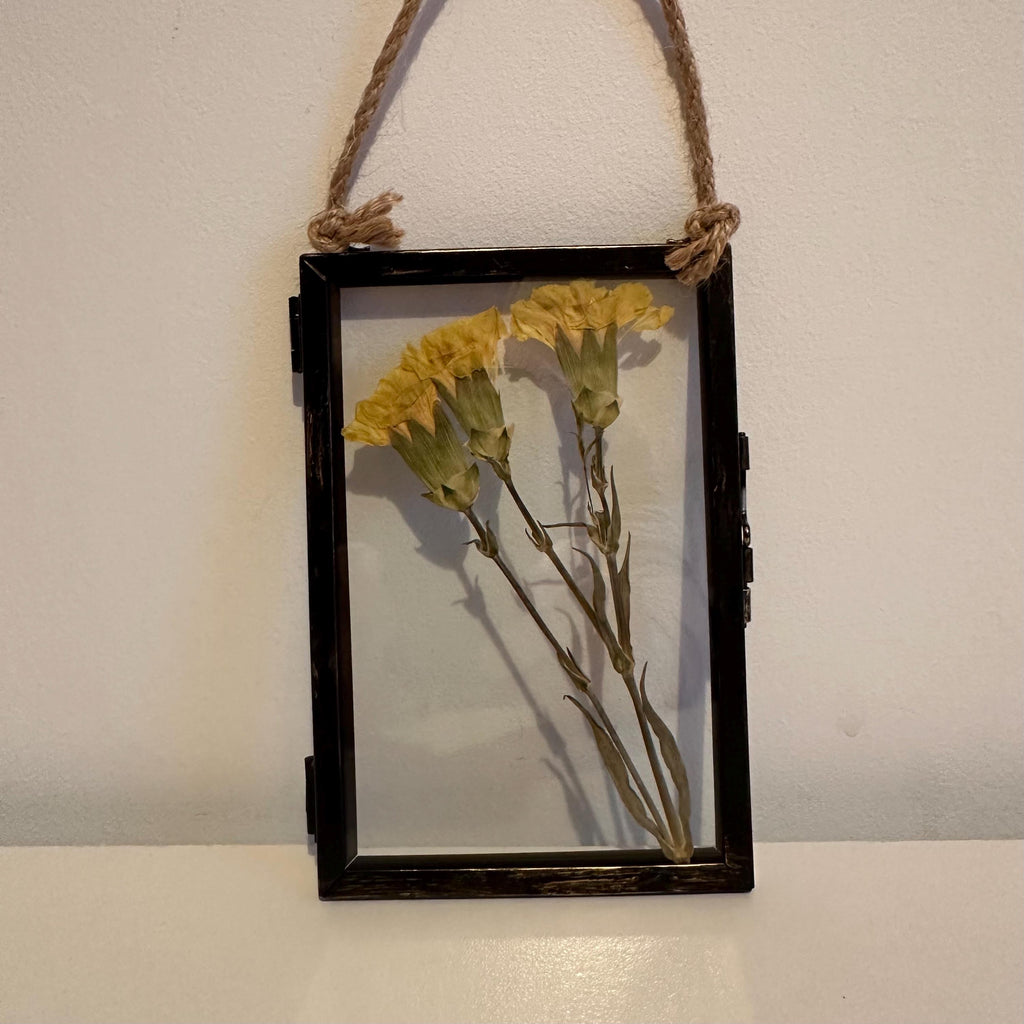 Real Pressed Yellow Carnations in Rustic Black Frame | Dried Flower Wall Art | Friendship, Remembrance or Thank You Gift