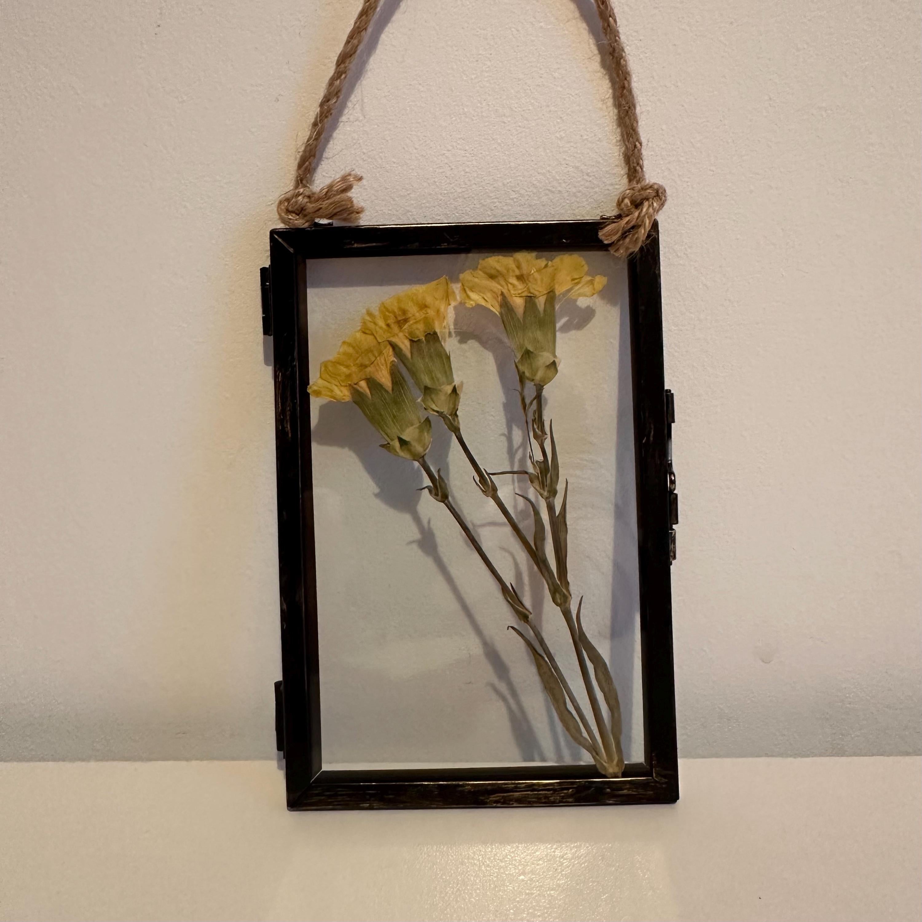 Real Pressed Yellow Carnations in Rustic Black Frame | Dried Flower Wall Art | Friendship, Remembrance or Thank You Gift