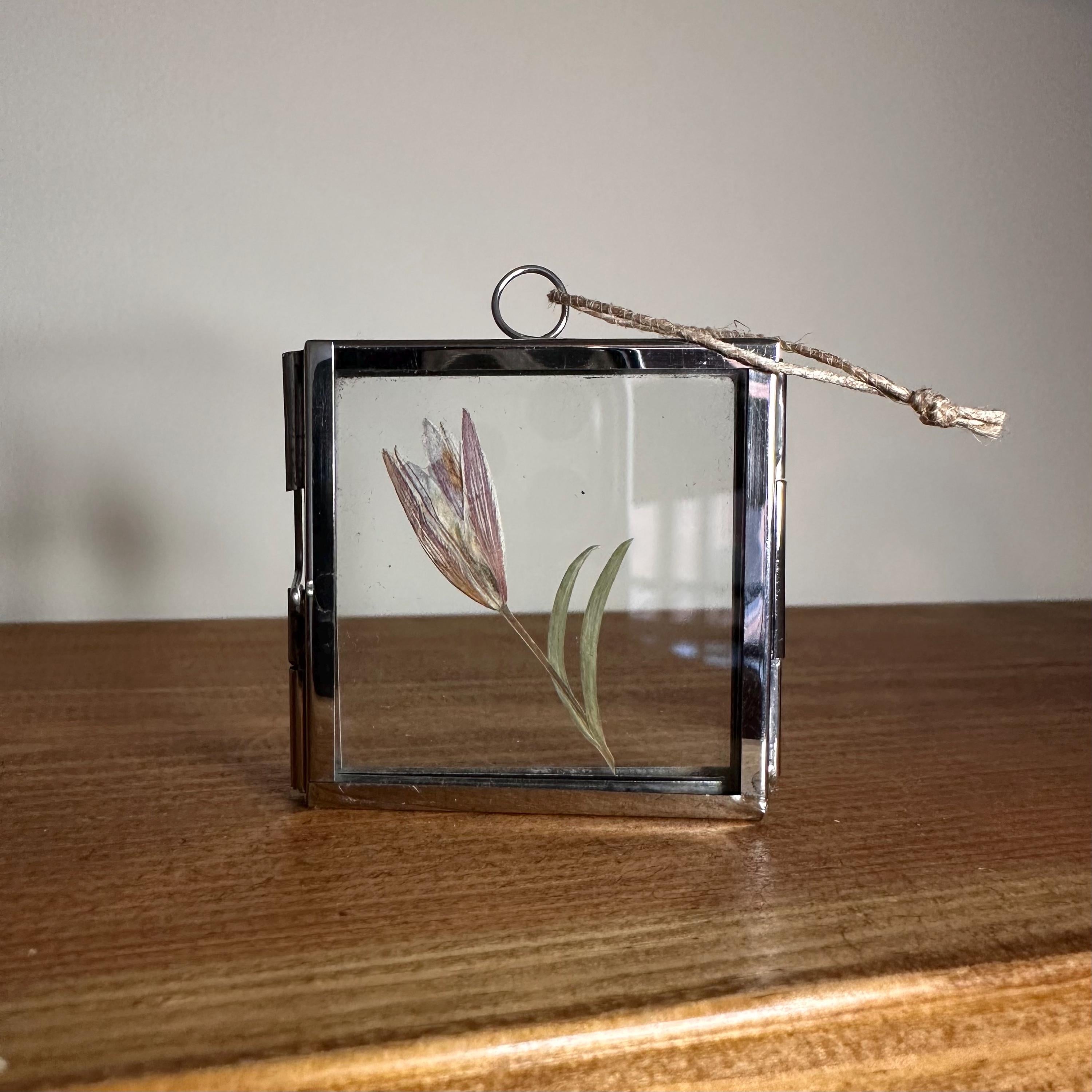 5cm x 5cm Silver Frame with Real Dried Lily | Mini Flower Hanging Display | Botanical Home Decor | Pressed Flower Gift