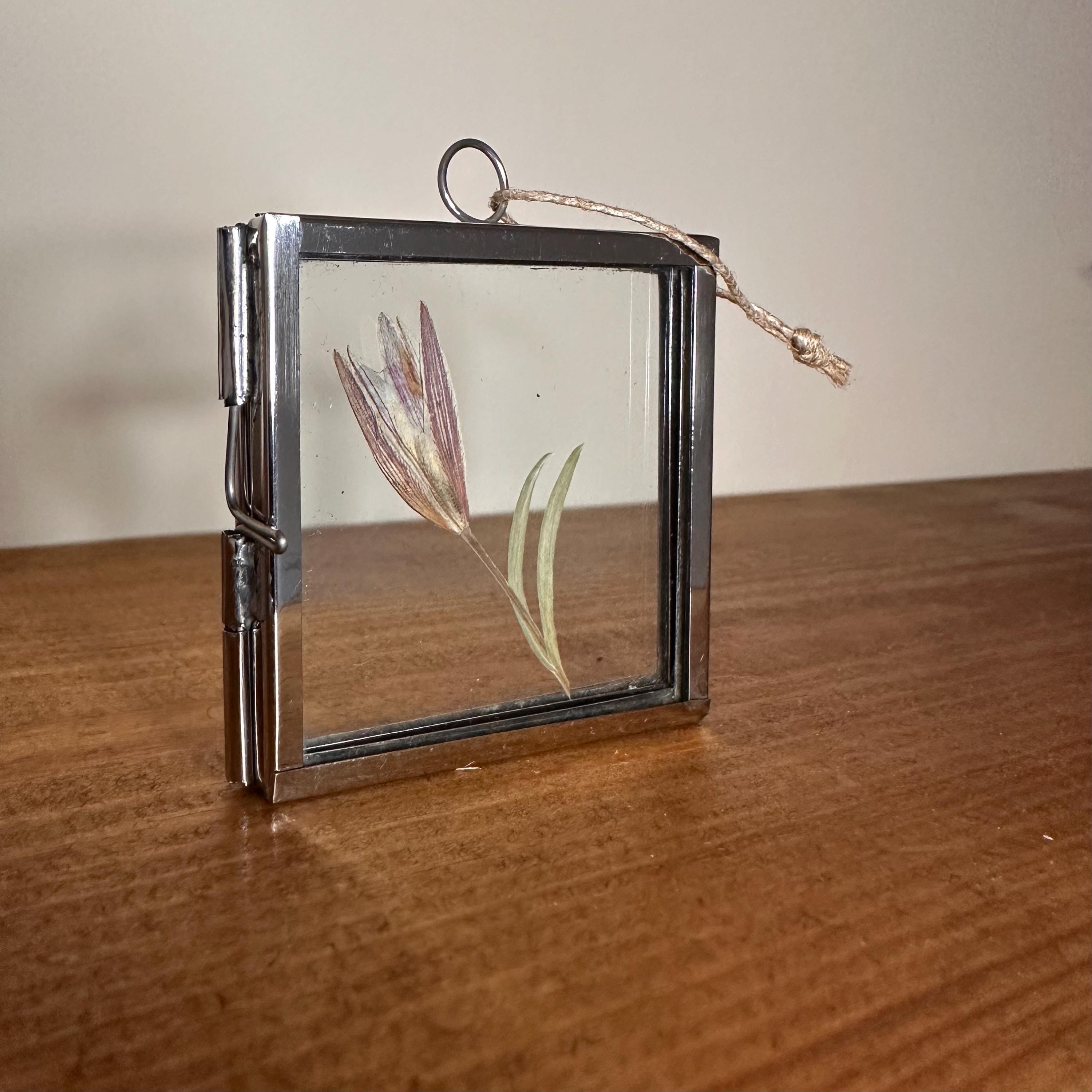 5cm x 5cm Silver Frame with Real Dried Lily | Mini Flower Hanging Display | Botanical Home Decor | Pressed Flower Gift