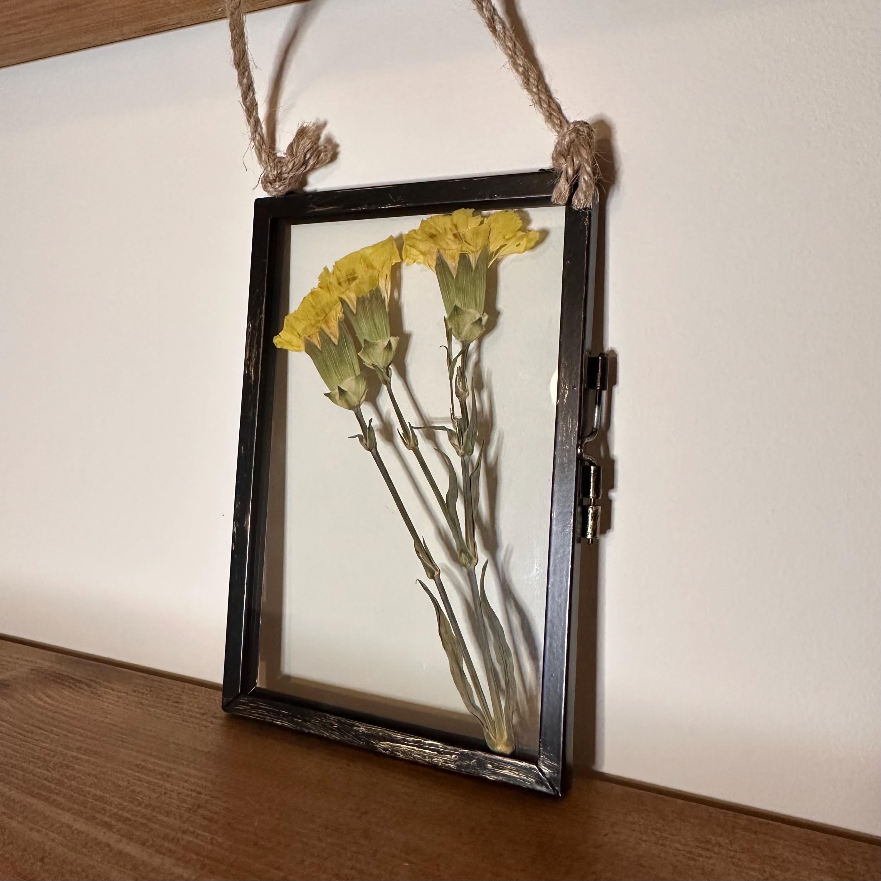 Real Pressed Yellow Carnations in Rustic Black Frame | Dried Flower Wall Art | Friendship, Remembrance or Thank You Gift