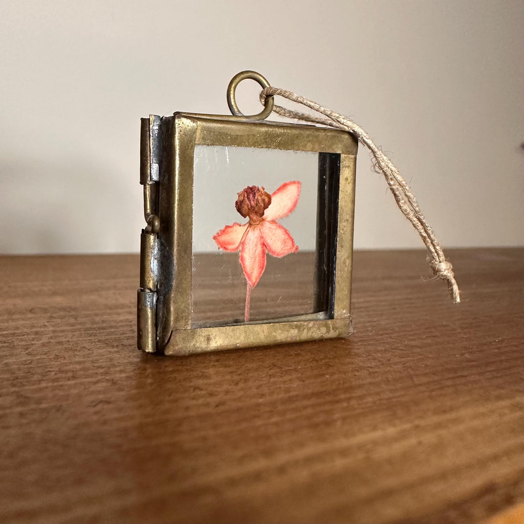 Dried Pink Orchid Mini Frame | Pressed Flower Art 3.5x3.5cm | Real Botanical Decor | Nature Gift