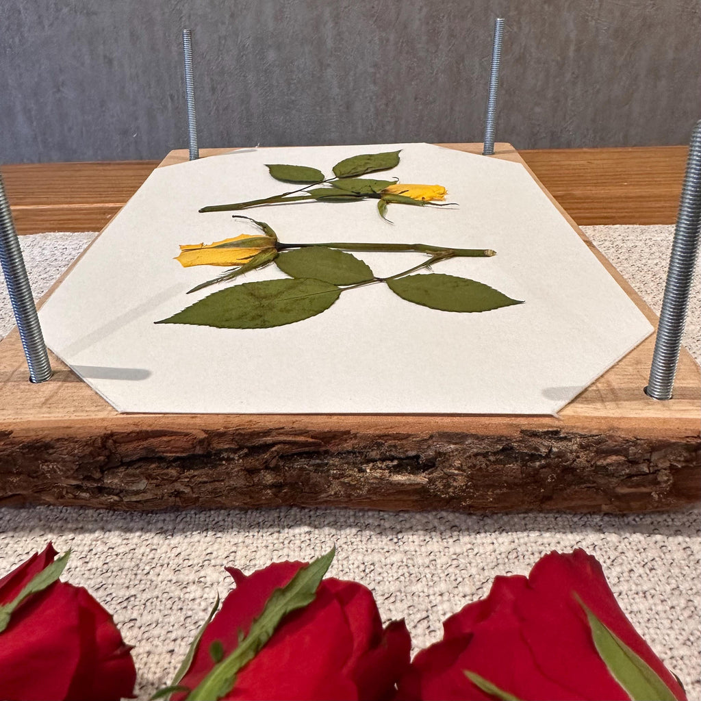 Solid Oak Flower Press – A4 Handmade Wooden Botanical Press for Preserving Flowers