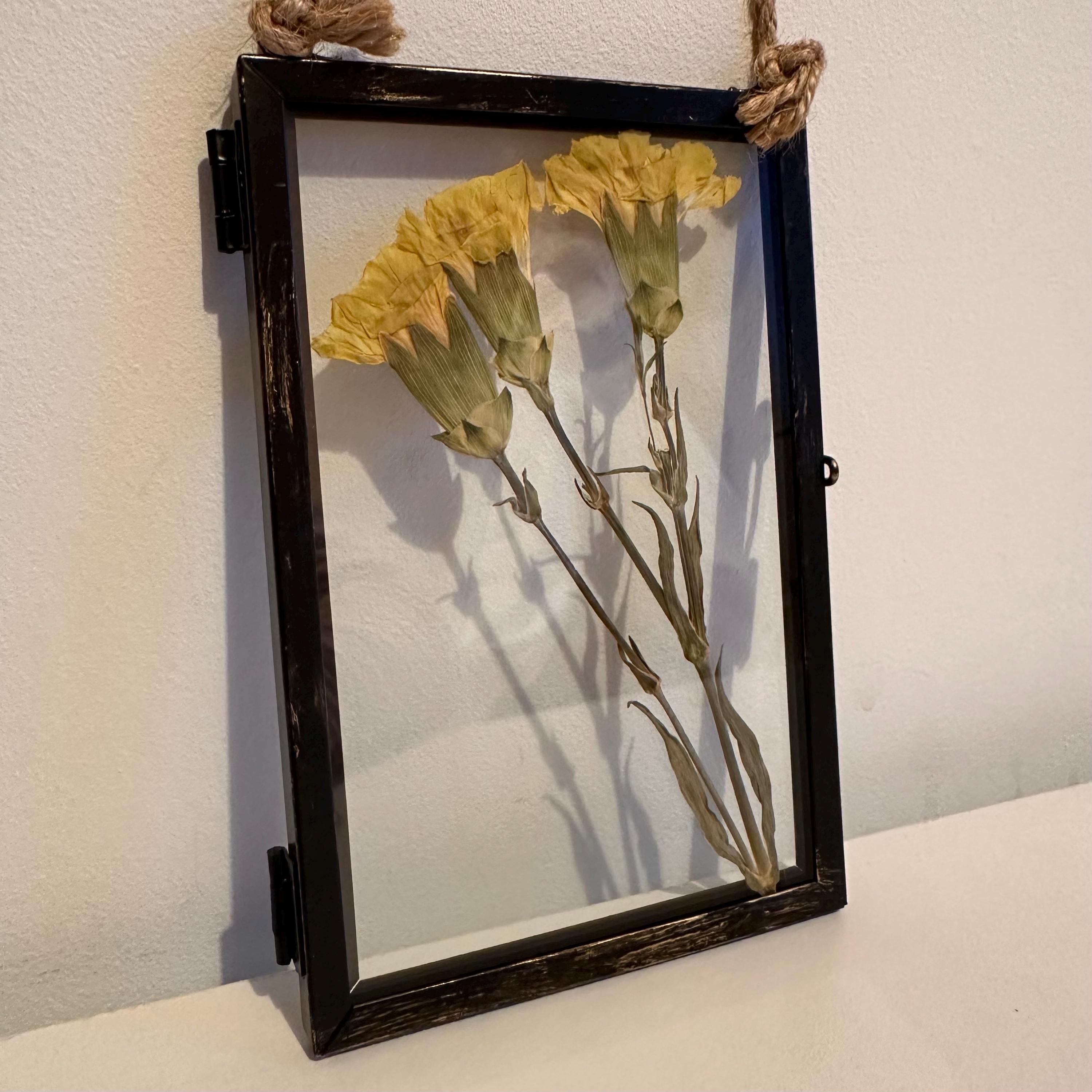Real Pressed Yellow Carnations in Rustic Black Frame | Dried Flower Wall Art | Friendship, Remembrance or Thank You Gift