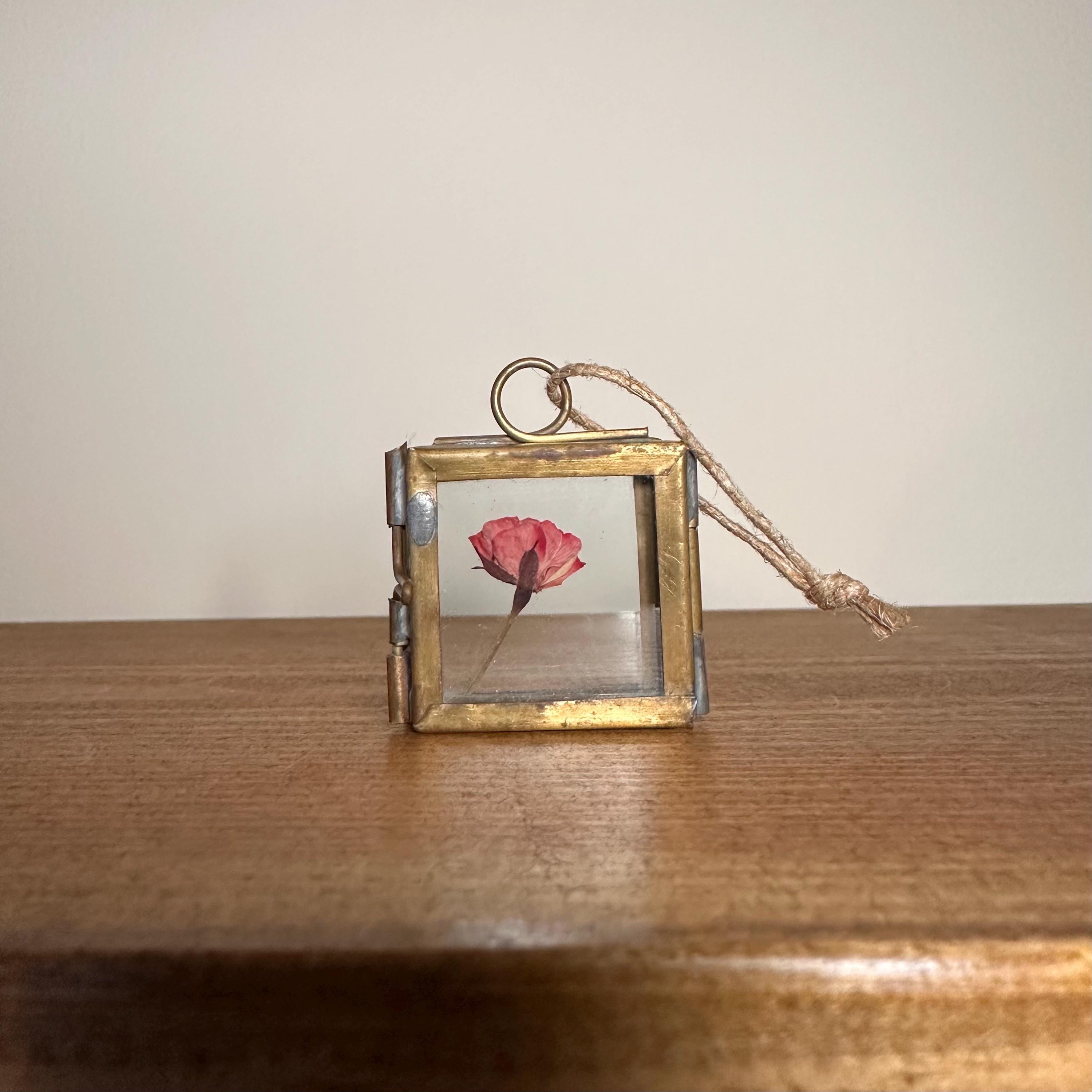 Dried Pink Rose in 3.5cm Brass Frame | Twisted Twine Loop | Pressed Flower Pendant | Miniature Botanical Keepsake