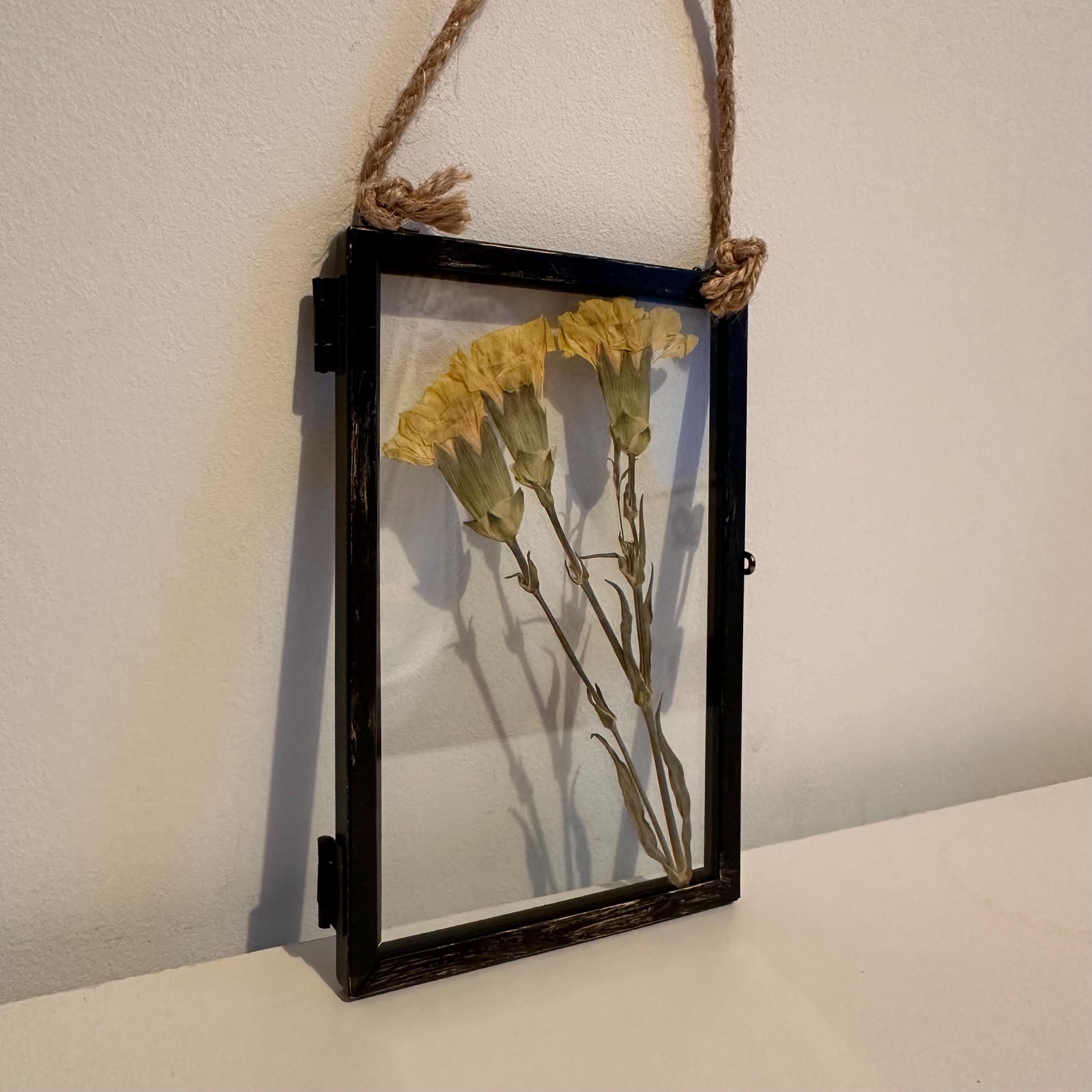 Real Pressed Yellow Carnations in Rustic Black Frame | Dried Flower Wall Art | Friendship, Remembrance or Thank You Gift