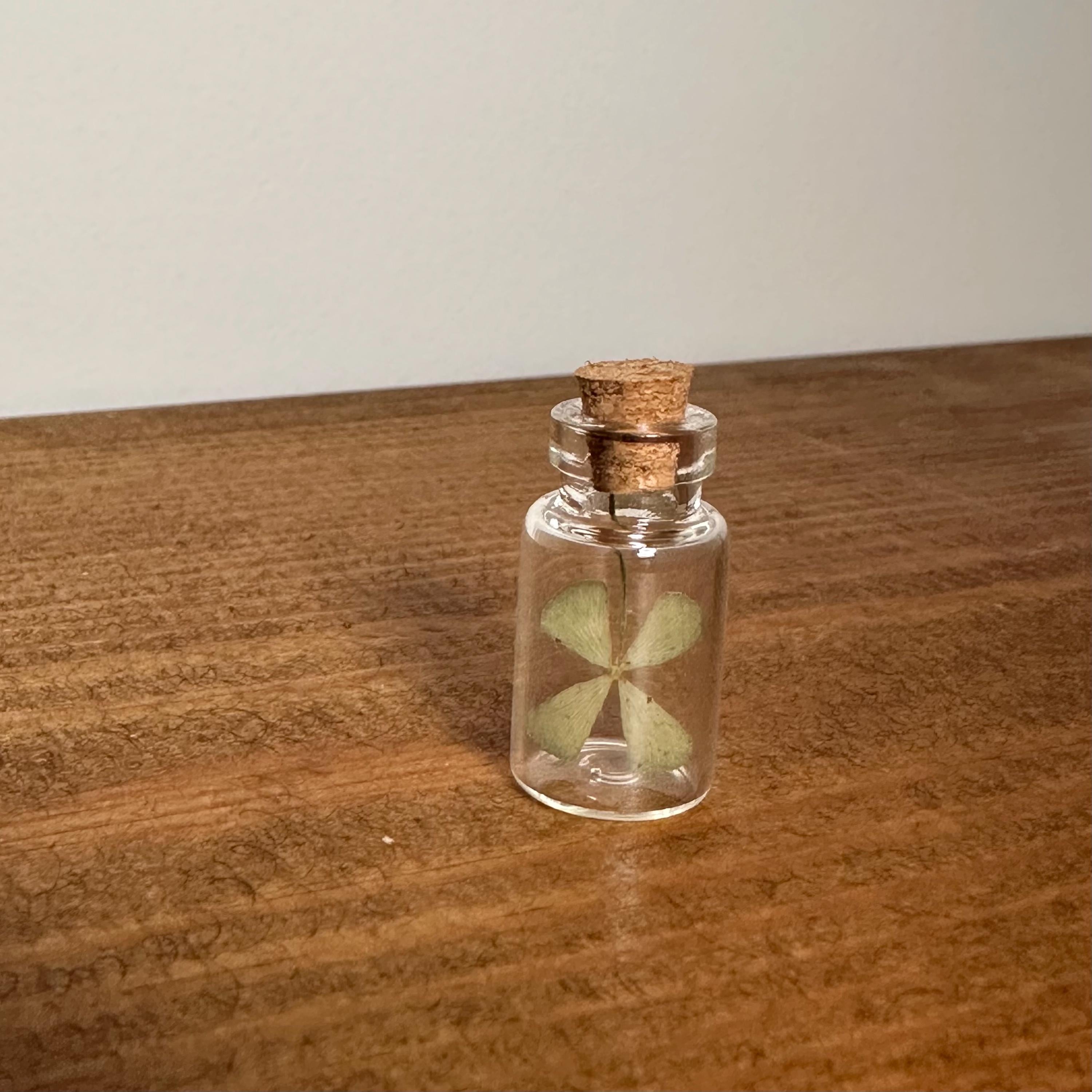 Real Four Leaf Clover Glass Vial, Dried Lucky Charm Keepsake