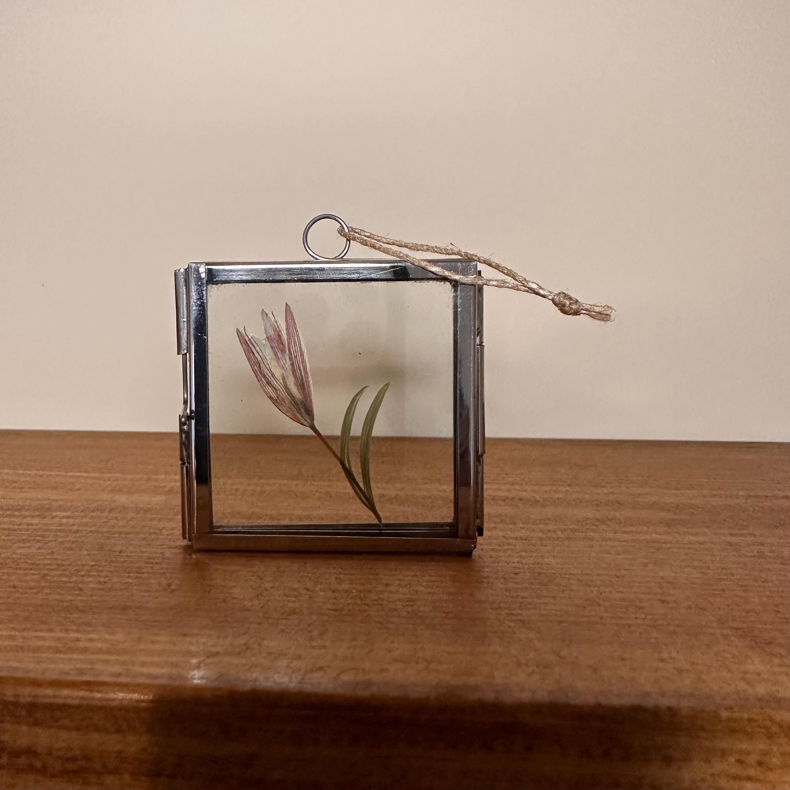 5cm x 5cm Silver Frame with Real Dried Lily | Mini Flower Hanging Display | Botanical Home Decor | Pressed Flower Gift