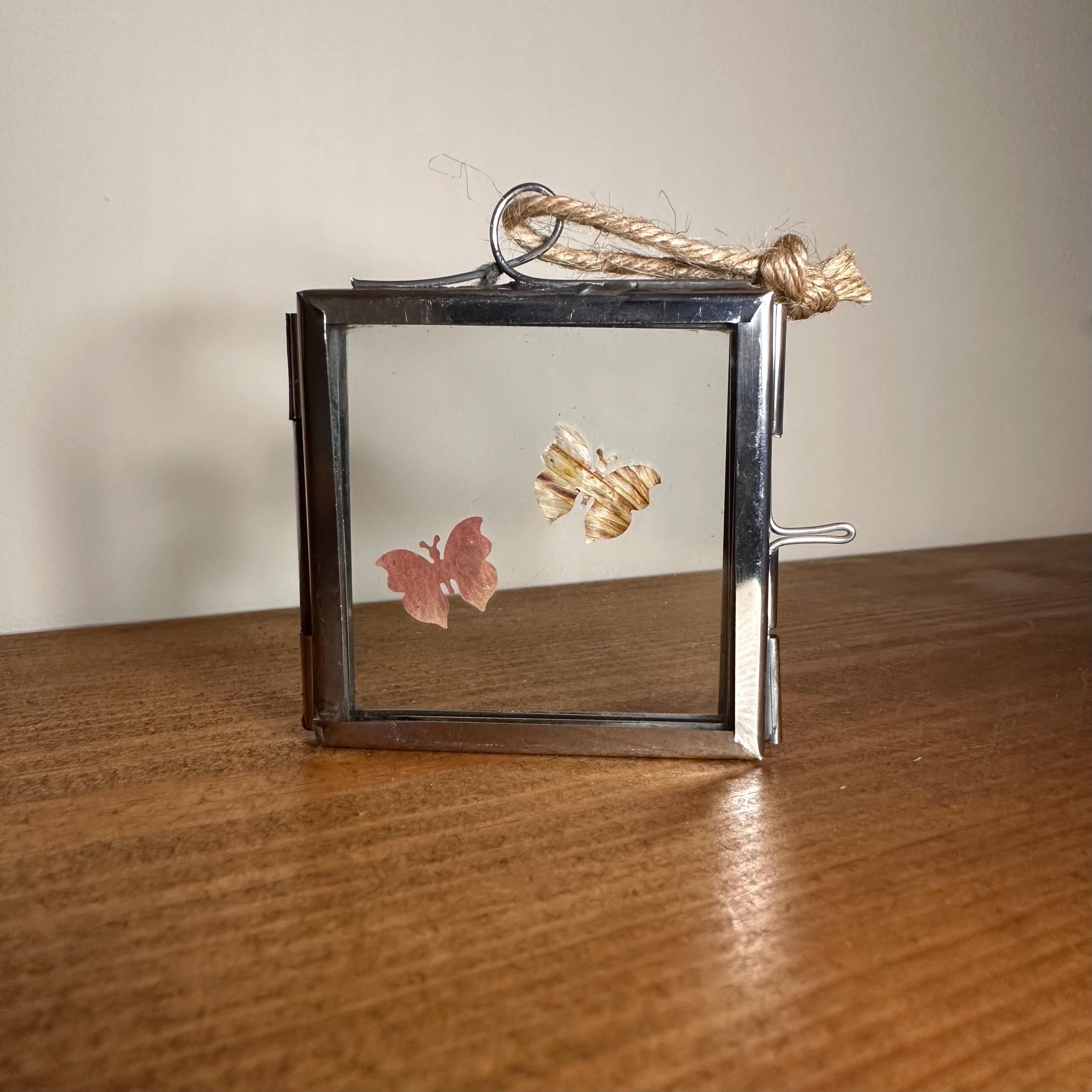 Pressed Flower Butterfly Art – Mini Silver Frame 5x5cm – Real Botanical Butterflies – Hanging Nature Decor Gift