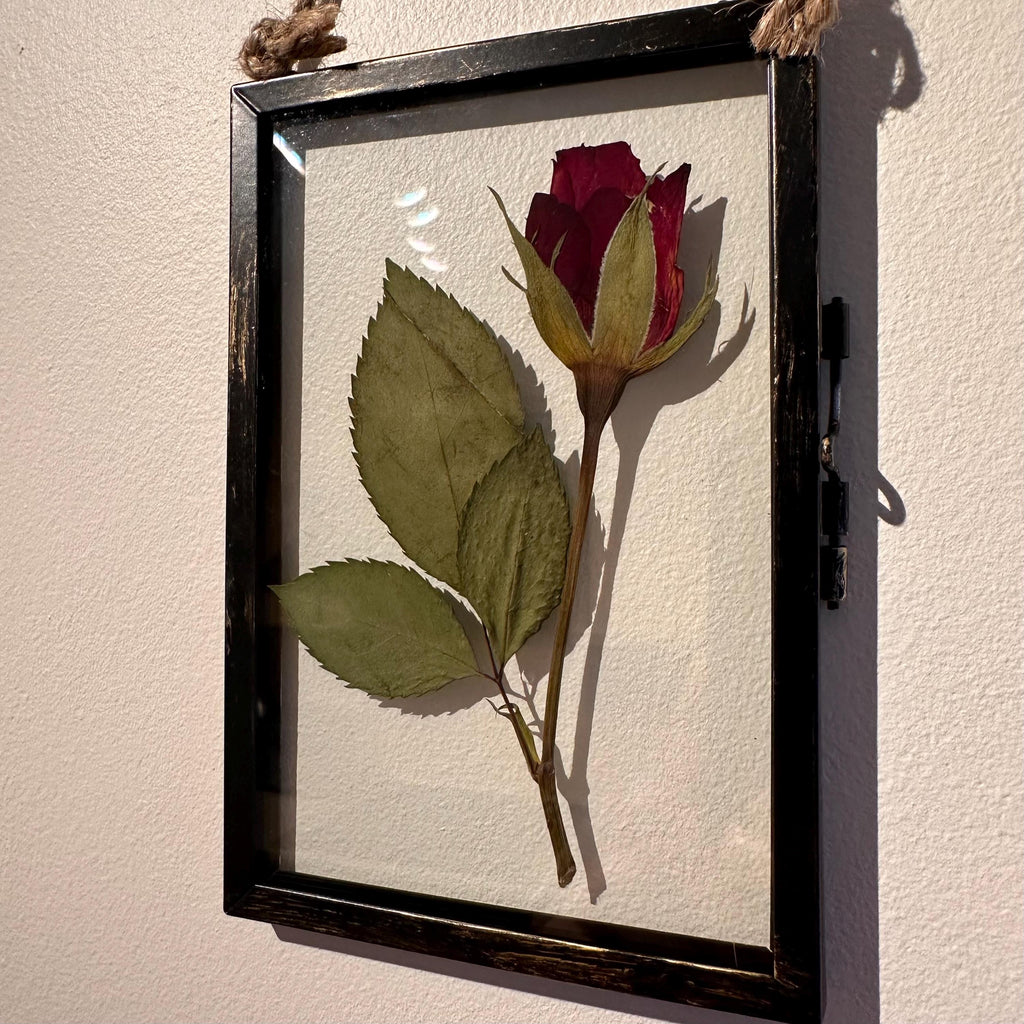 Real Pressed Red Rose in Rustic Black Frame | Dried Flower Wall Art | Romantic Gift, Anniversary, Valentine’s Day Keepsake