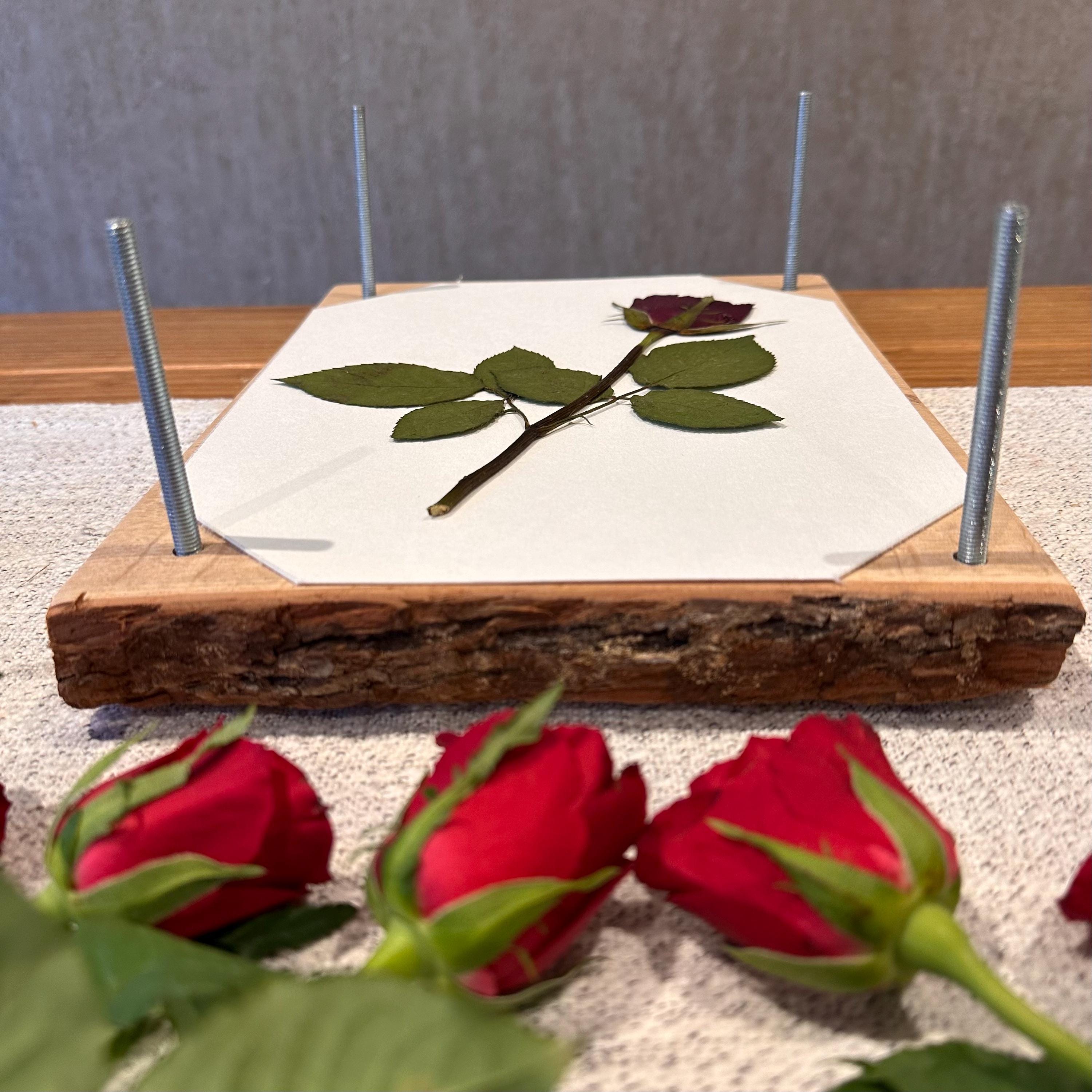 Solid Oak Flower Press – A4 Handmade Wooden Botanical Press for Preserving Flowers