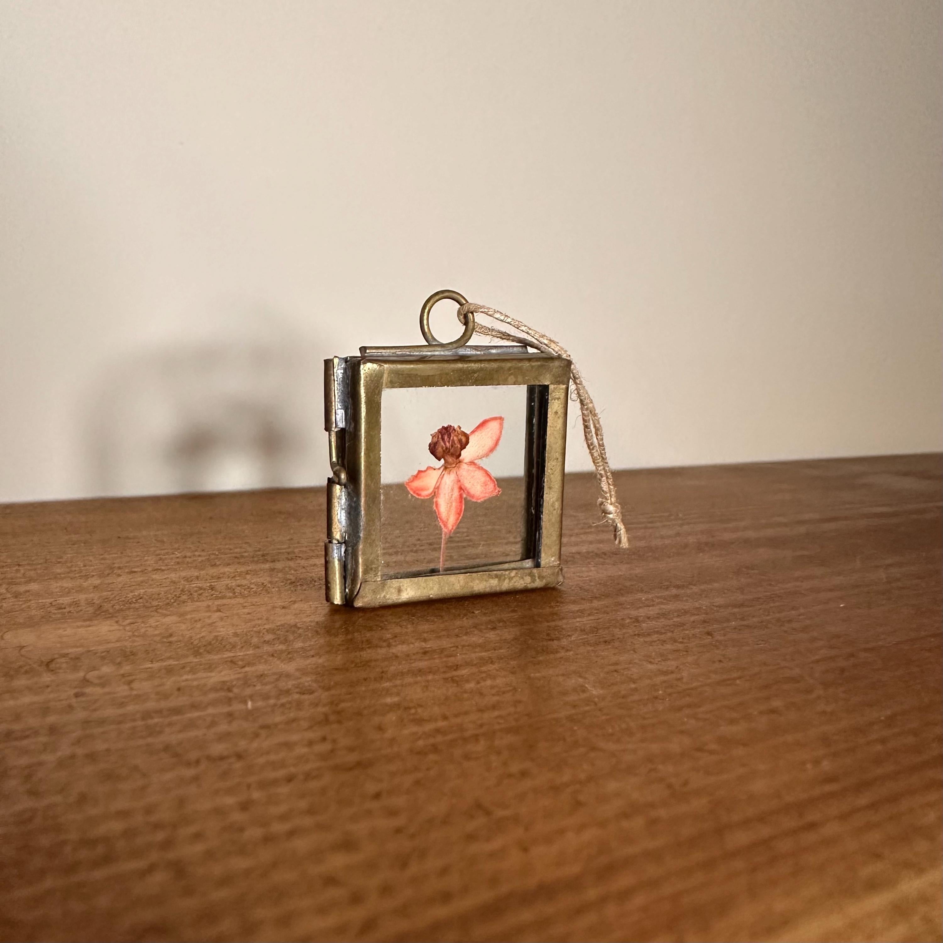 Dried Pink Orchid Mini Frame | Pressed Flower Art 3.5x3.5cm | Real Botanical Decor | Nature Gift