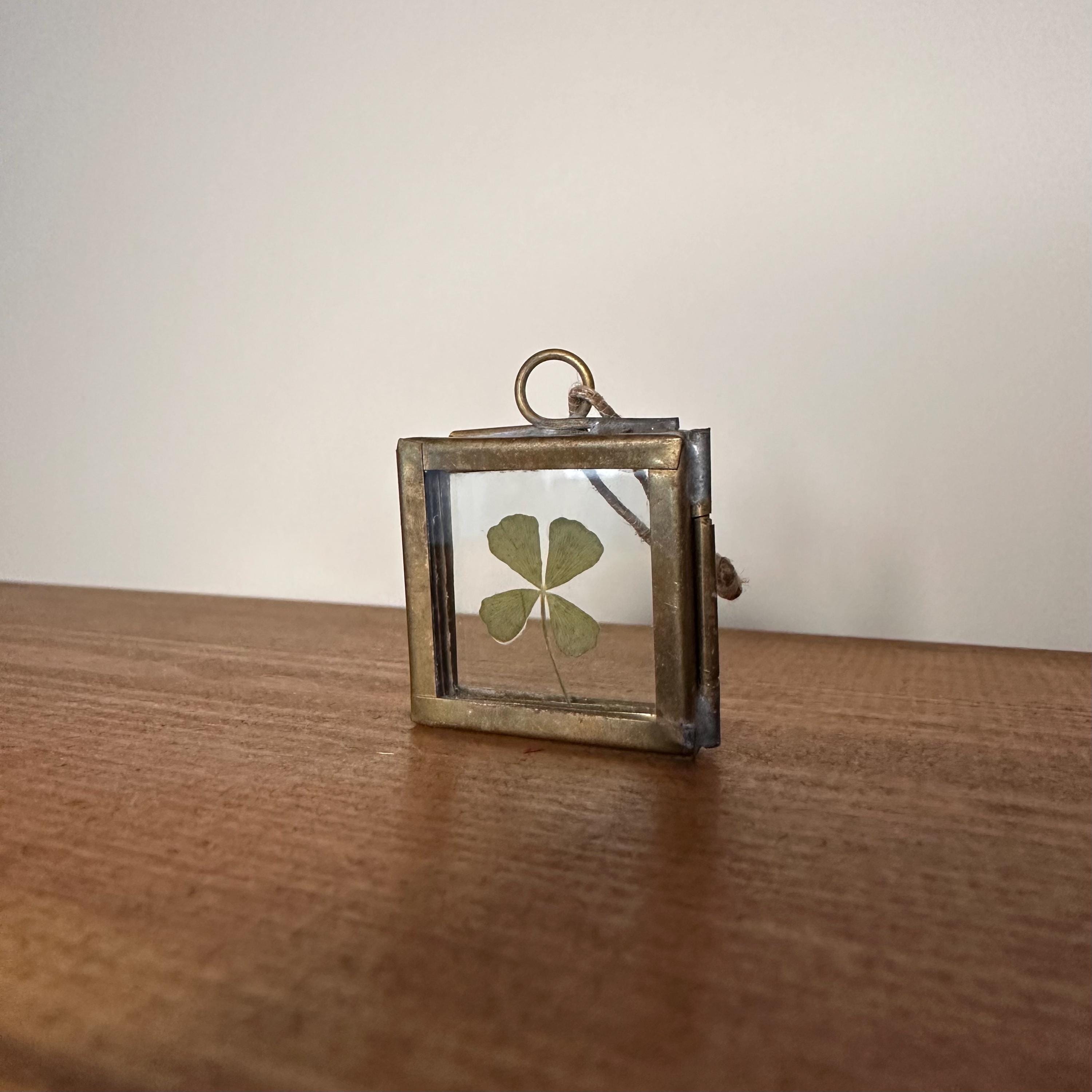 Real 4-Leaf Clover in Brass Frame 3.5cm | Lucky Charm | Dried Plant Keepsake | Pressed Clover Jewelry Display, Botanical Gift