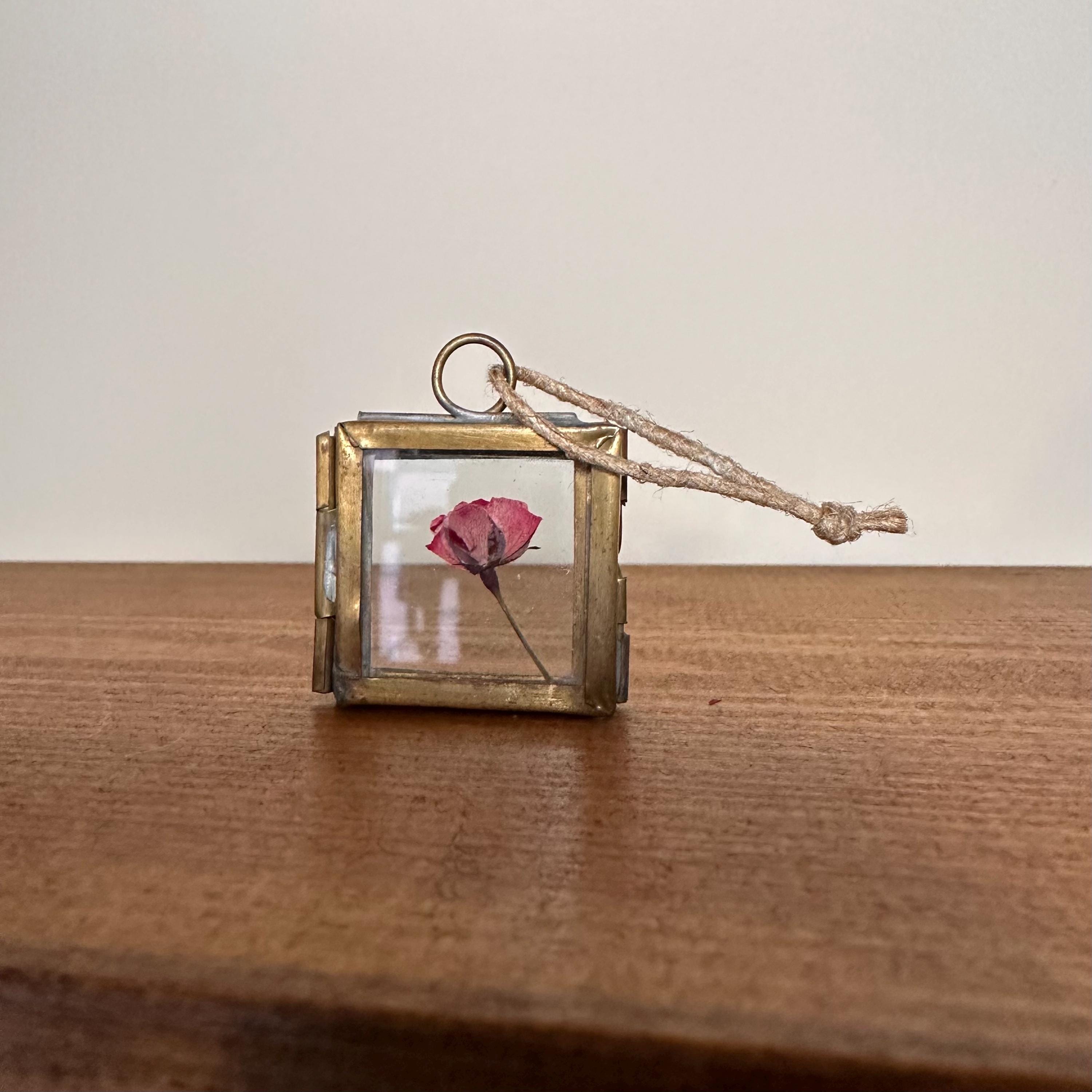 Dried Pink Rose in 3.5cm Brass Frame | Twisted Twine Loop | Pressed Flower Pendant | Miniature Botanical Keepsake