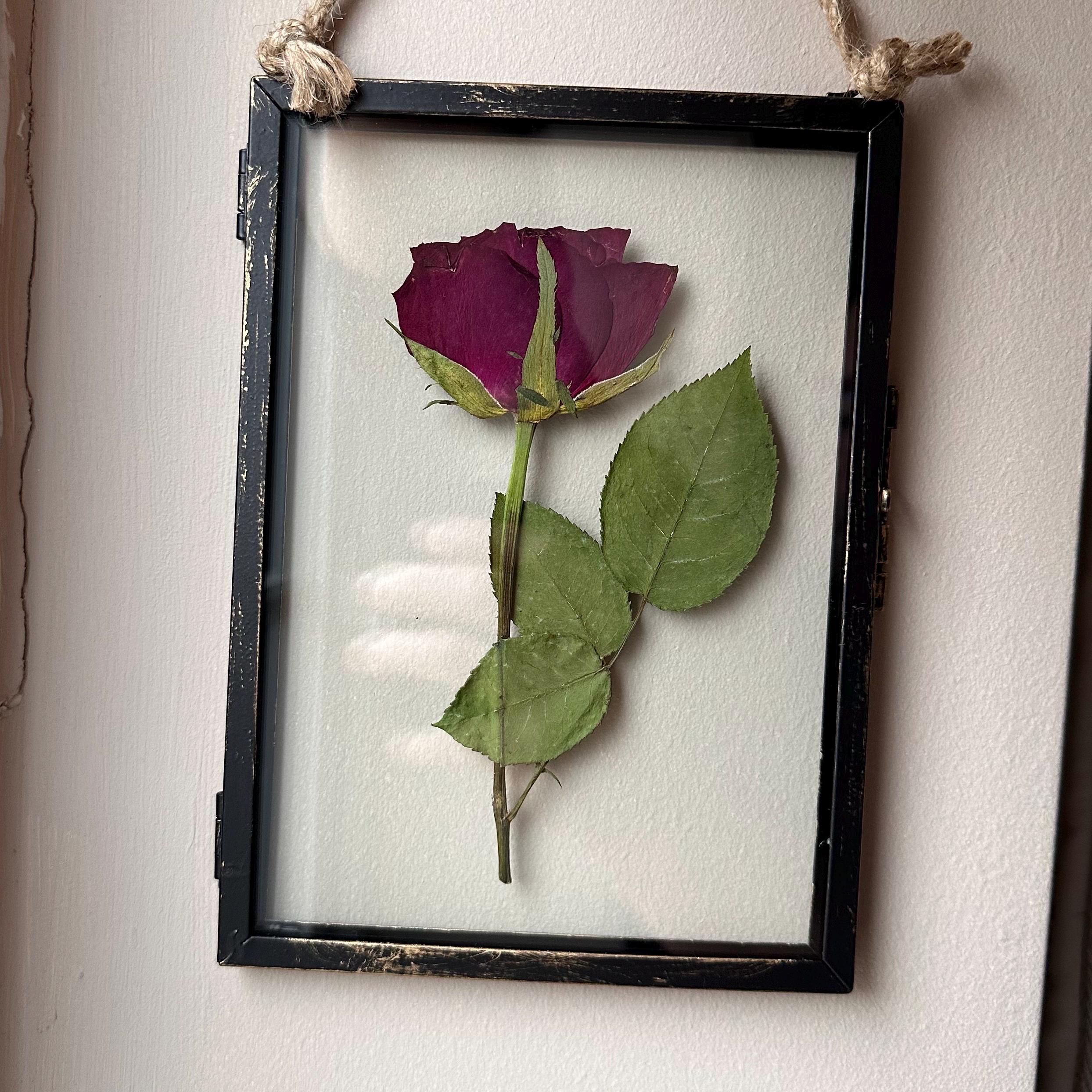 Pressed Red Rose Frame | Rustic Black, Dried Flower Wall Art