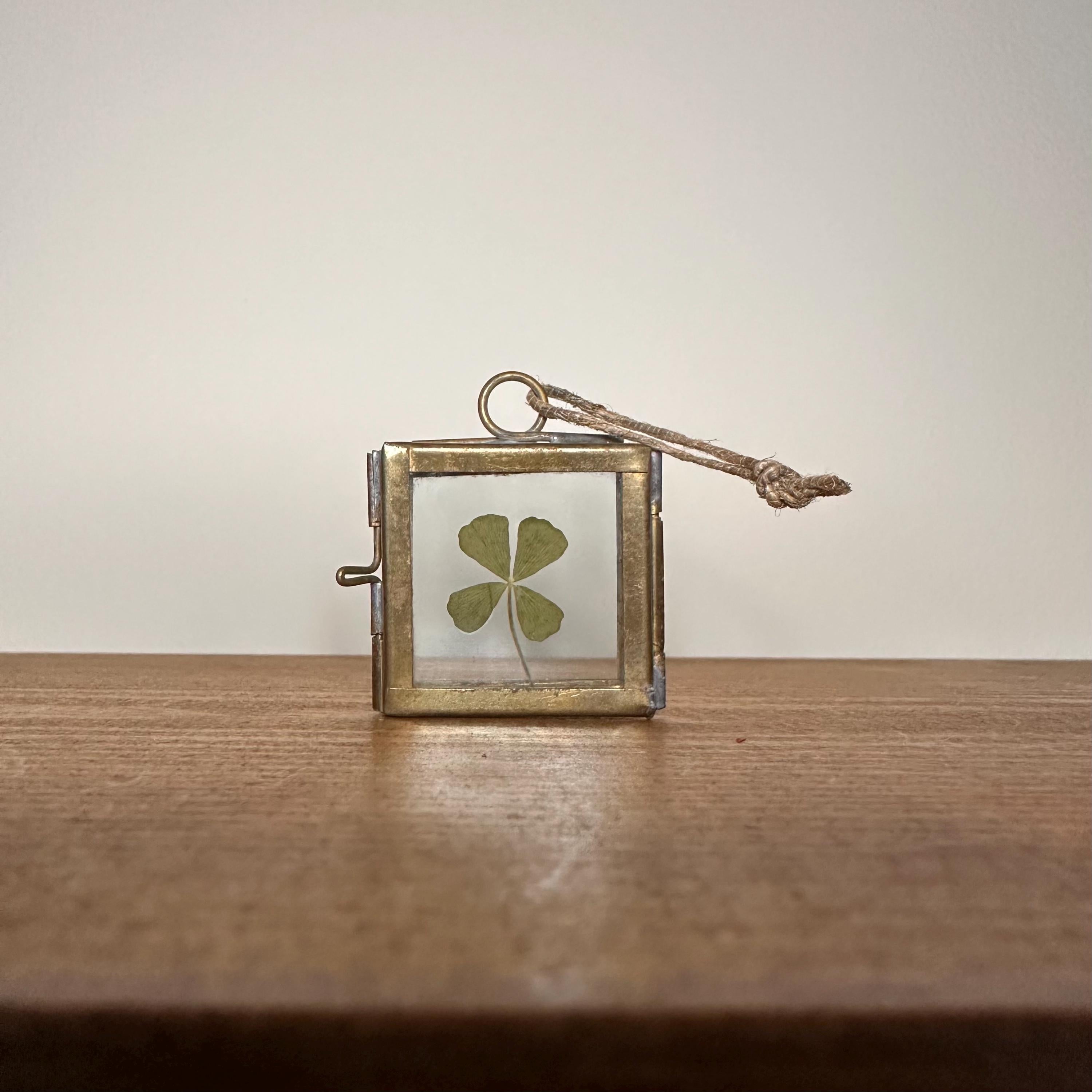 Real 4-Leaf Clover in Brass Frame 3.5cm | Lucky Charm | Dried Plant Keepsake | Pressed Clover Jewelry Display, Botanical Gift
