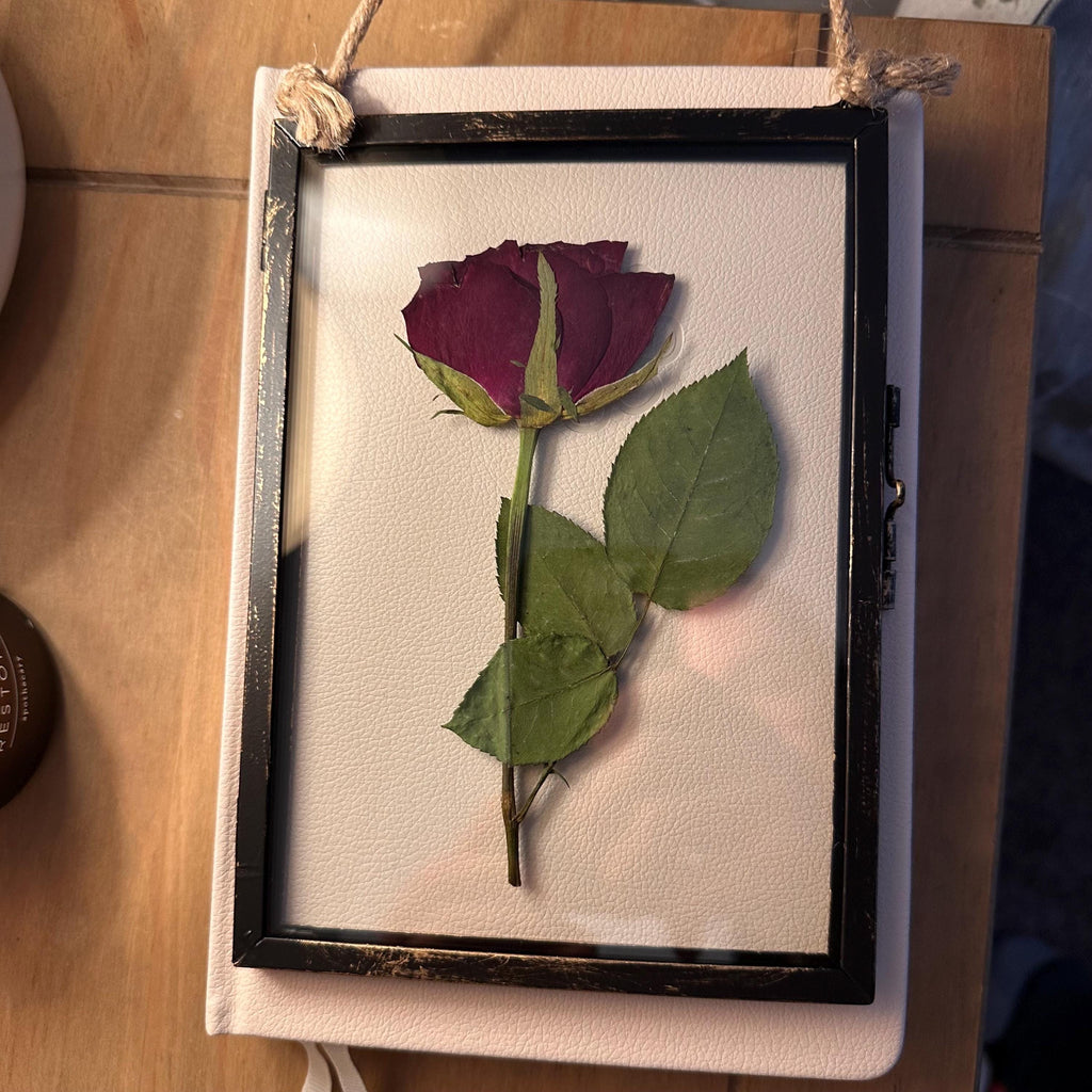 Pressed Red Rose Frame | Rustic Black, Dried Flower Wall Art