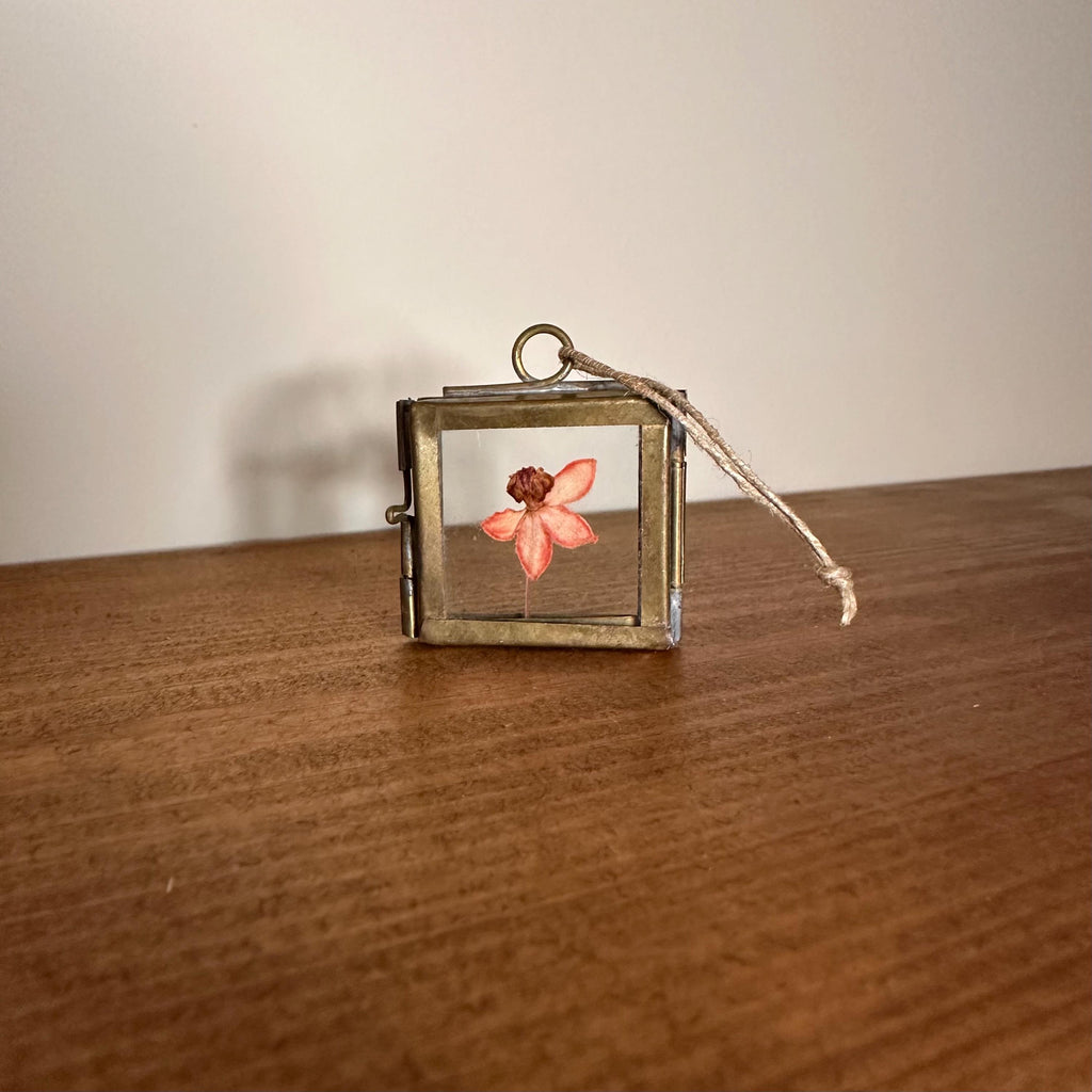 Dried Pink Orchid Mini Frame | Pressed Flower Art 3.5x3.5cm | Real Botanical Decor | Nature Gift