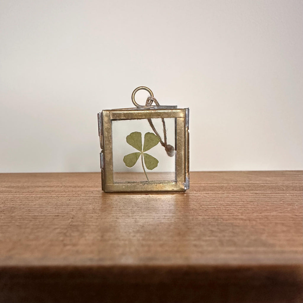 Real 4-Leaf Clover in Brass Frame 3.5cm | Lucky Charm | Dried Plant Keepsake | Pressed Clover Jewelry Display, Botanical Gift