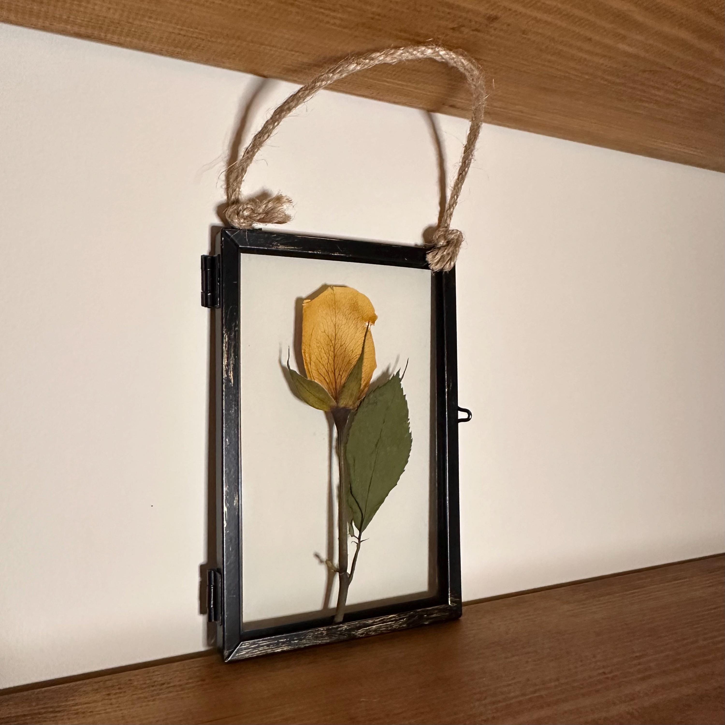 Real Pressed Yellow Rose in Rustic Black Frame | Dried Flower Wall Art | Friendship, Remembrance or Thank You Gift